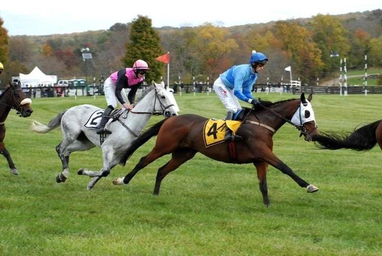 Thoroughbred racehorses and jockeys competing in a flat race on a grass track, with spectators and trees in the background during daytime.