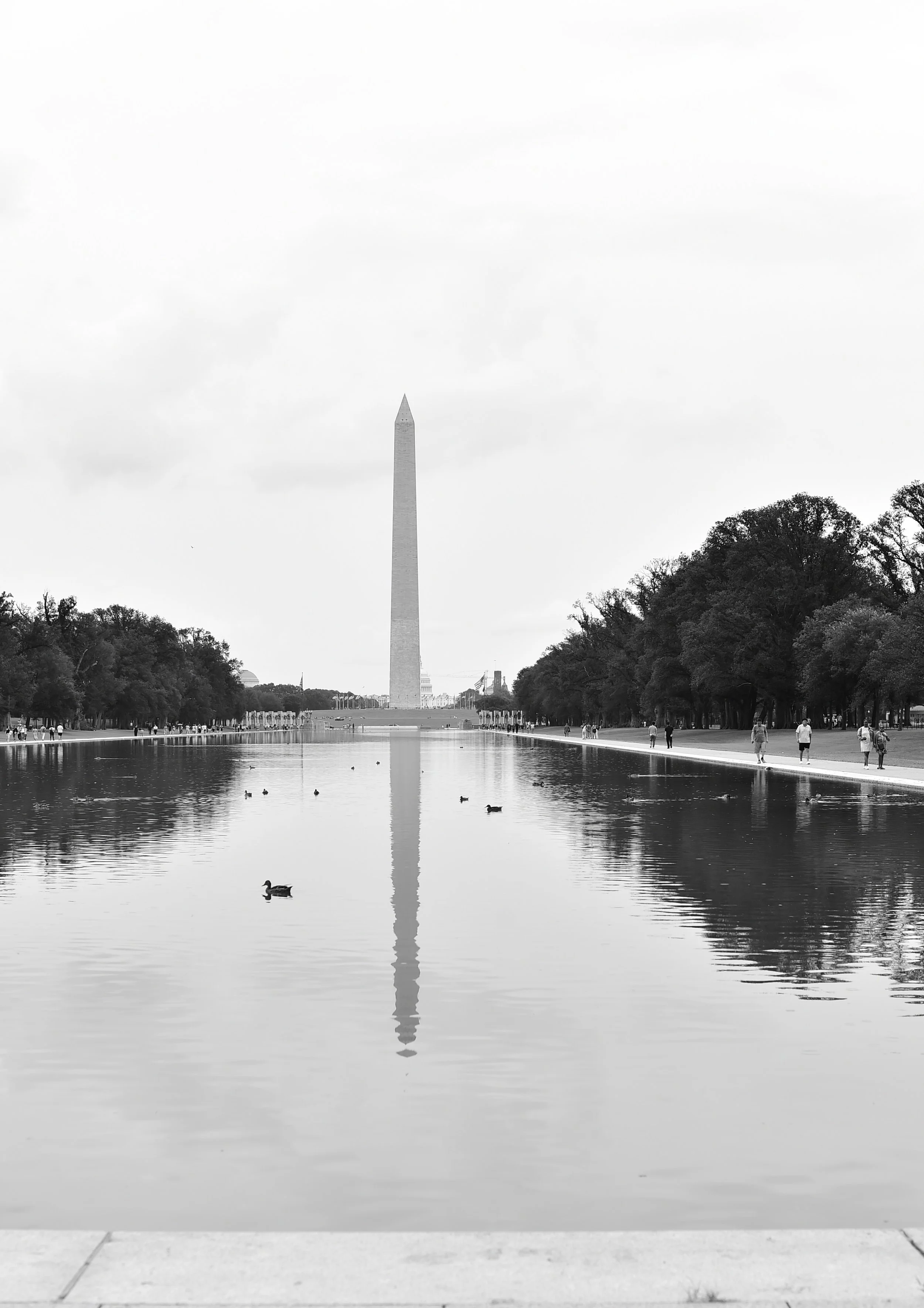 The Washington Monument reflected in the Reflecting Pool with ducks swimming, lined by trees, with several people walking on the sidewalk.