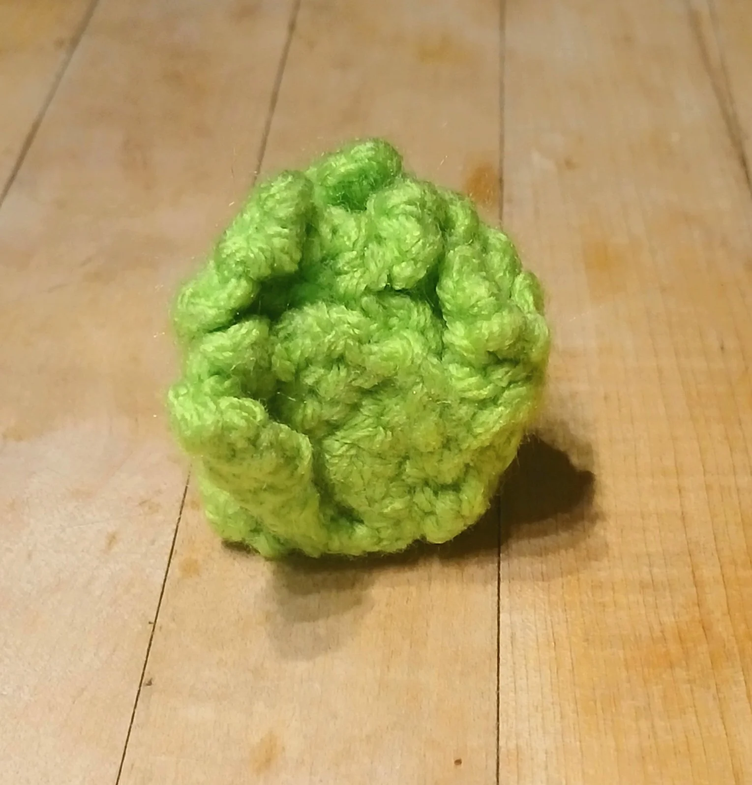 20260808_172511.jpg