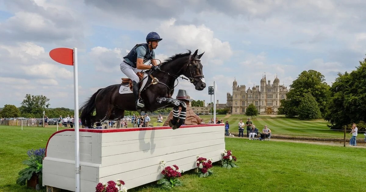A person riding a horse jumps over an obstacle during a show jumping event in front of a castle.