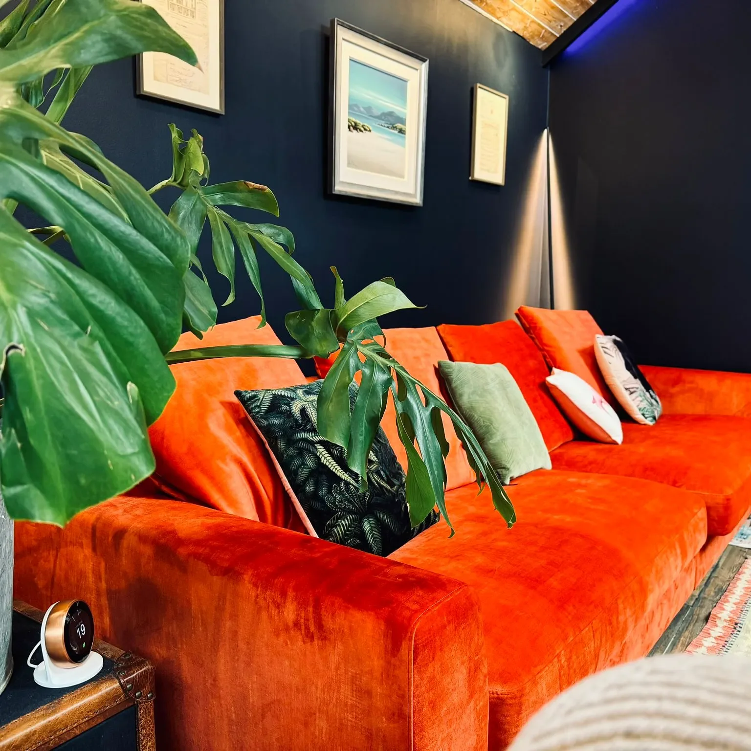 A vibrant orange sofa with multiple decorative pillows of various colors and patterns, against a dark blue wall decorated with framed artwork. A large green plant partially obscures the left side of the sofa, and a small clock is visible on a wooden side table to the lower left.
