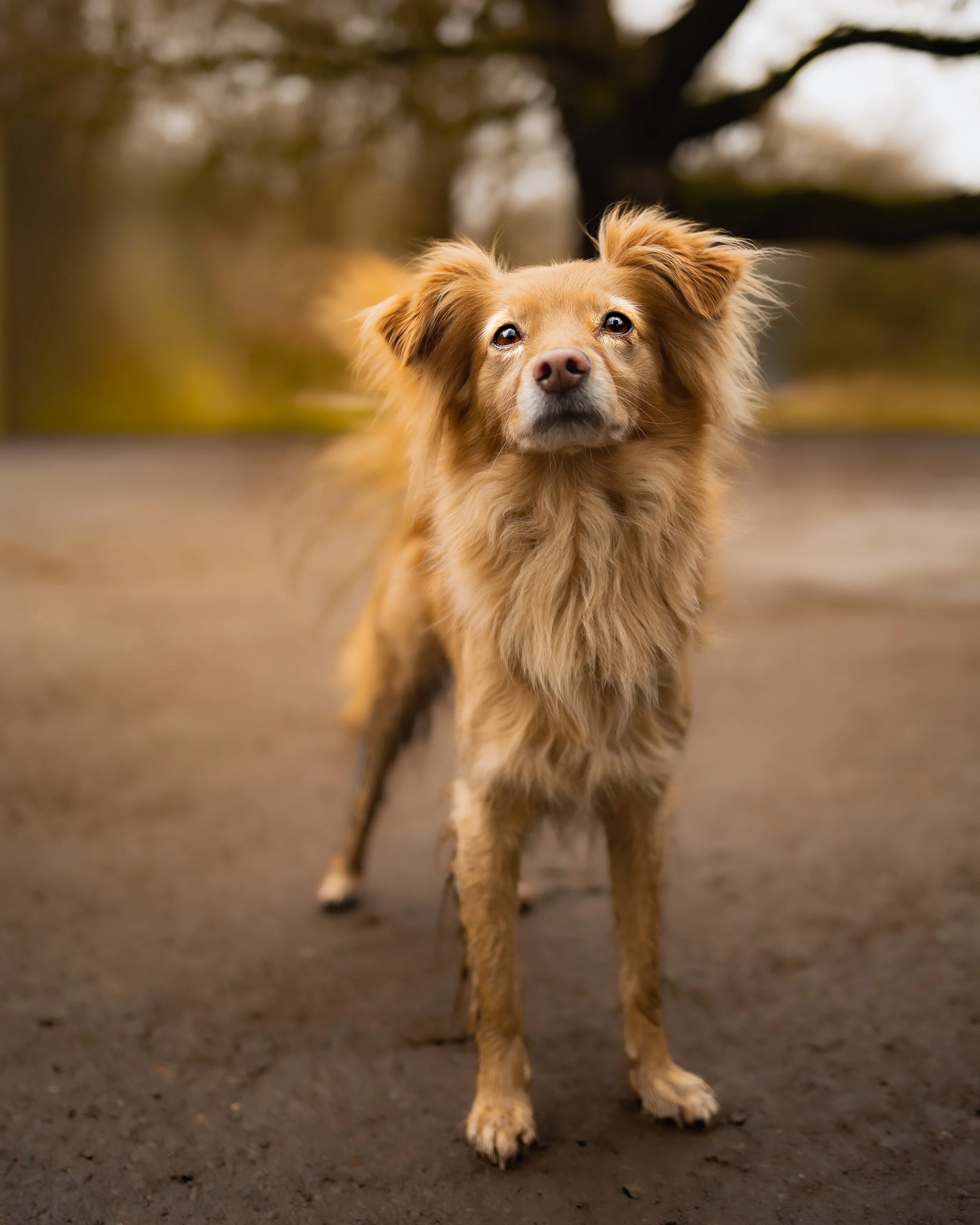BT4A9417-Edit.jpg