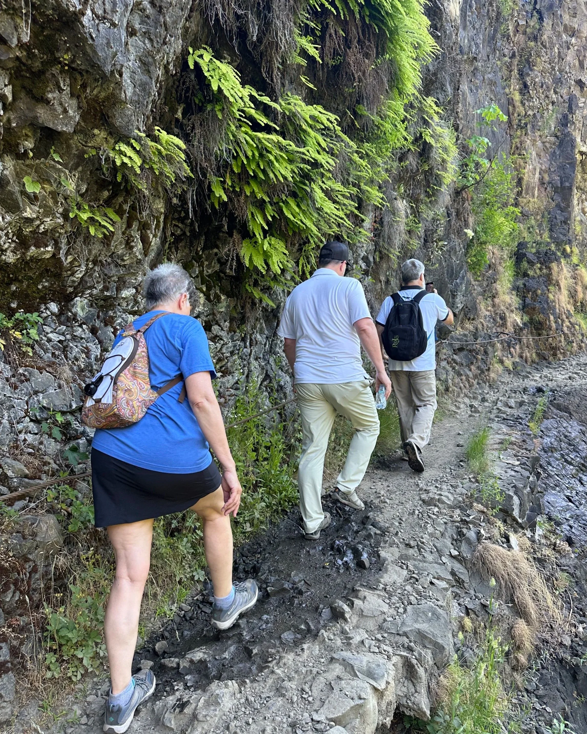 The Quiet Power of a Simple Walk