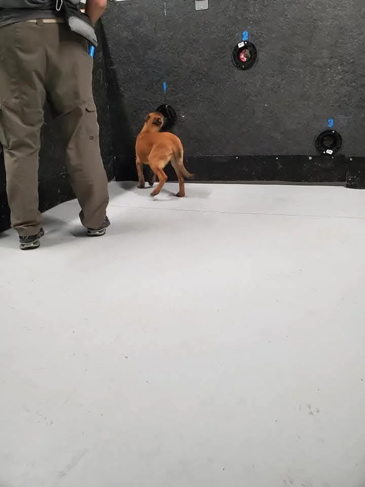 Imprinting Odor / Training