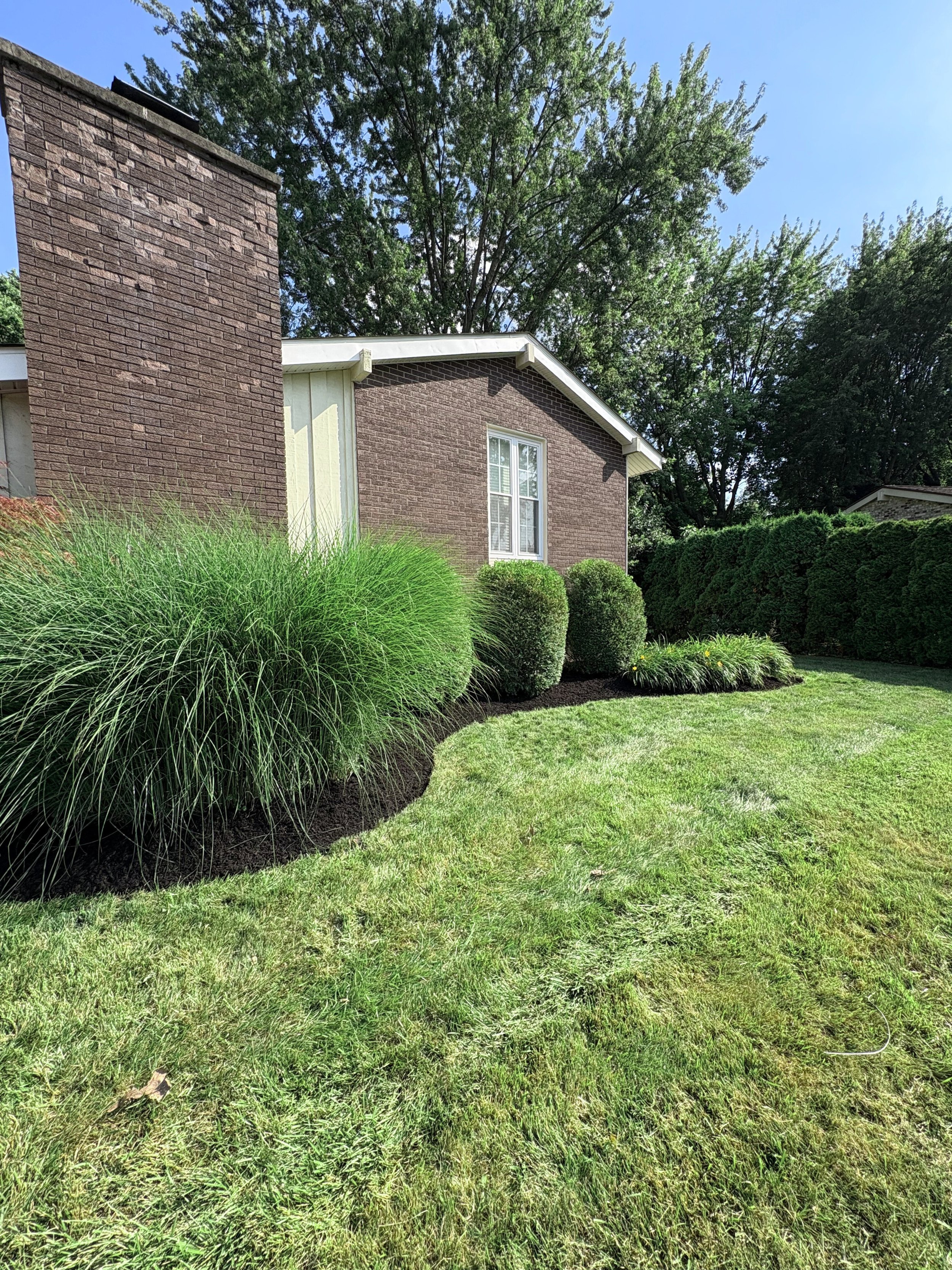 A well-maintained lawn with shrubs and trees by Maintenance Bros lawn and landscape.