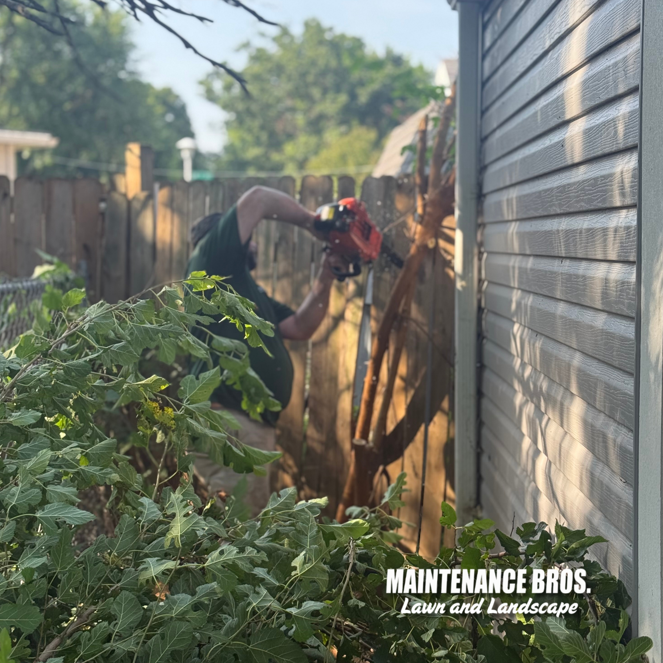 Tree and Brush Removal
