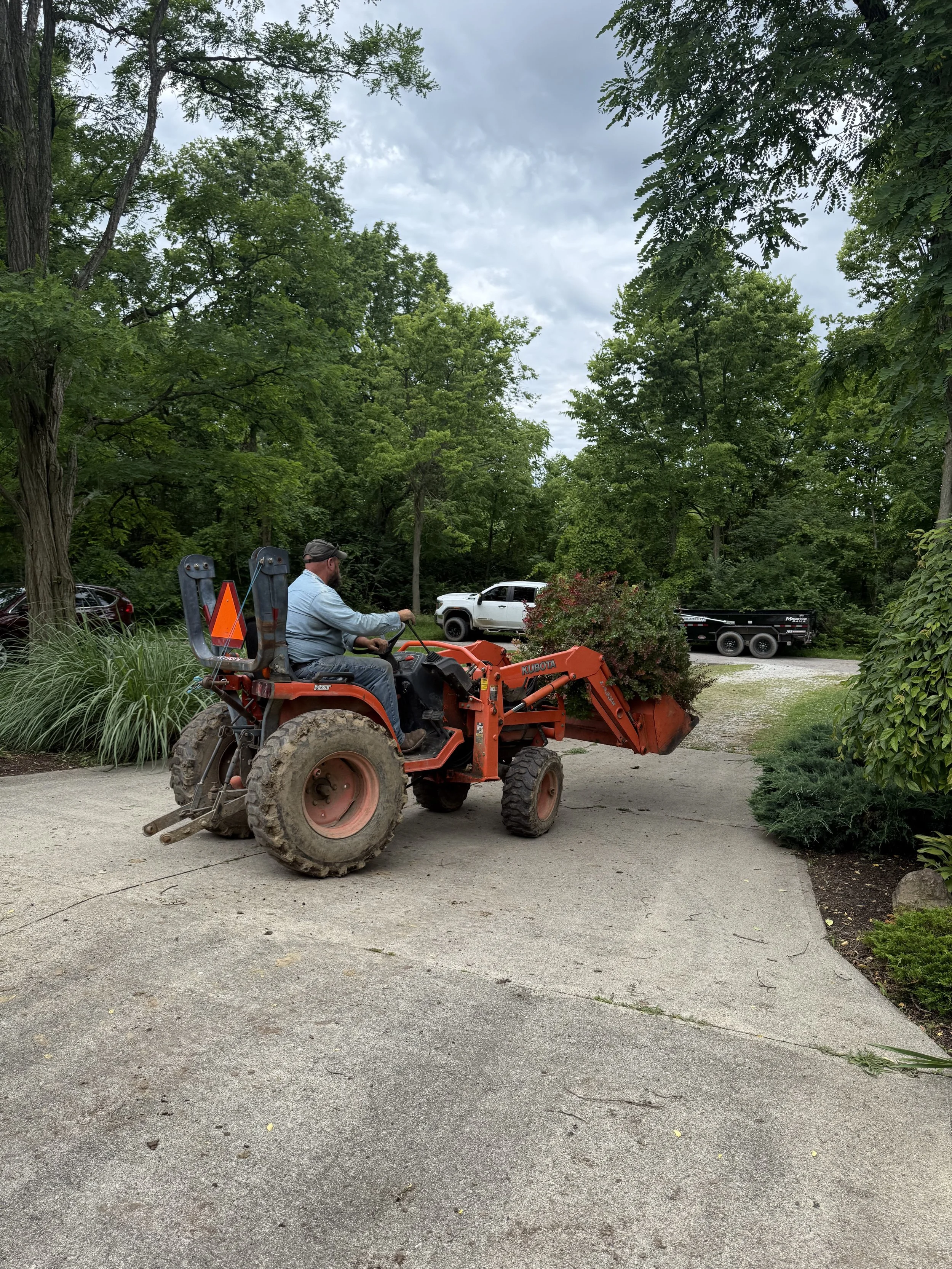 Bush Removal