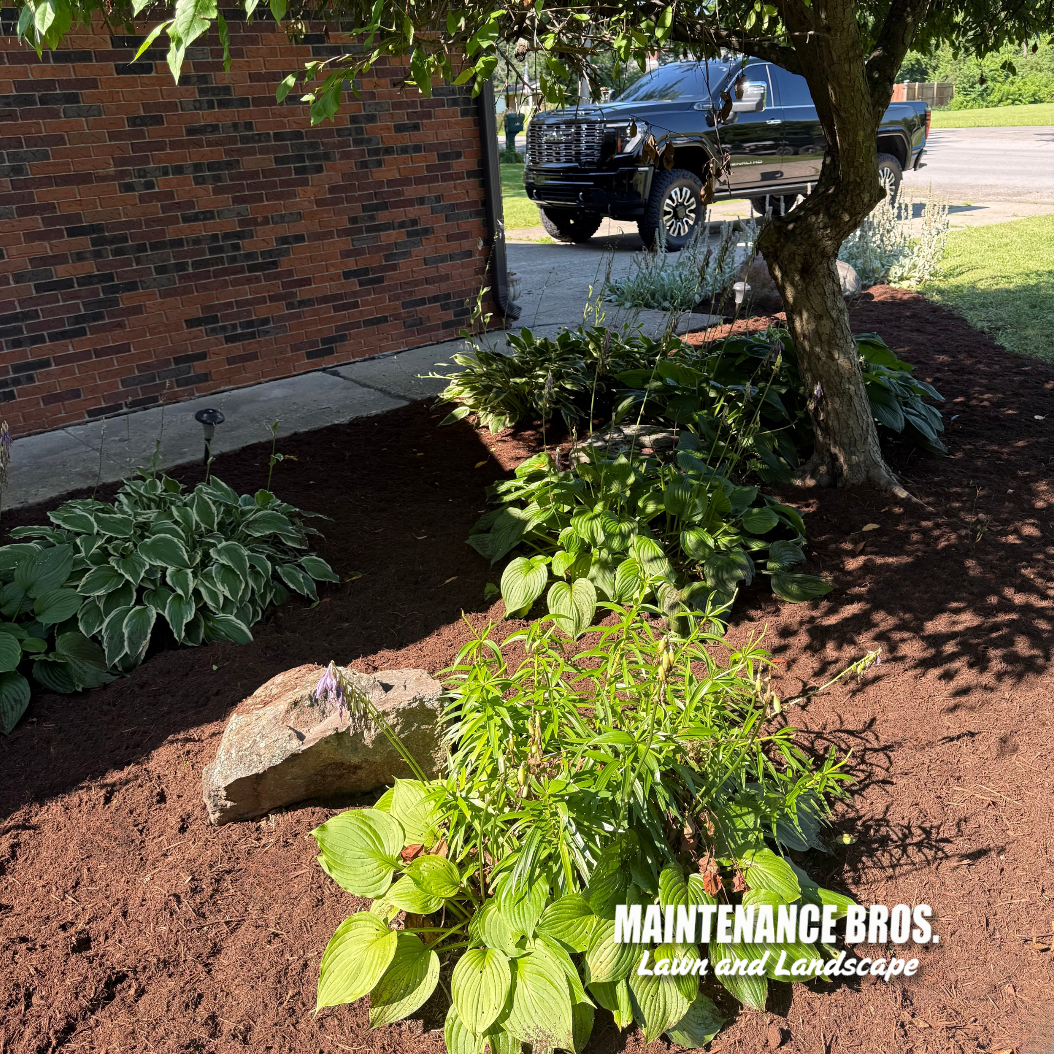 Ultra Fine Brown Mulch Installation