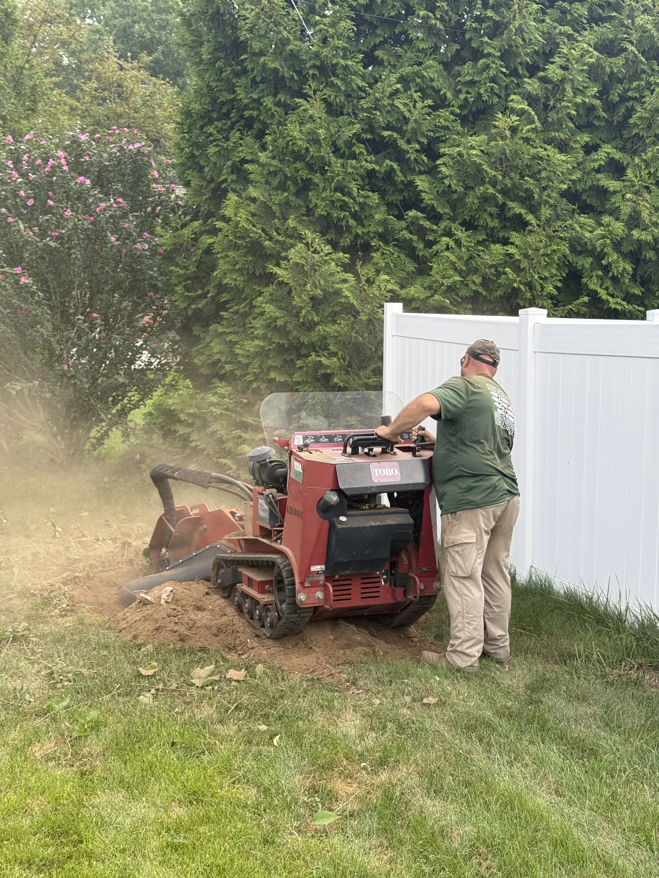 Lilac Bush and Stump Removal 