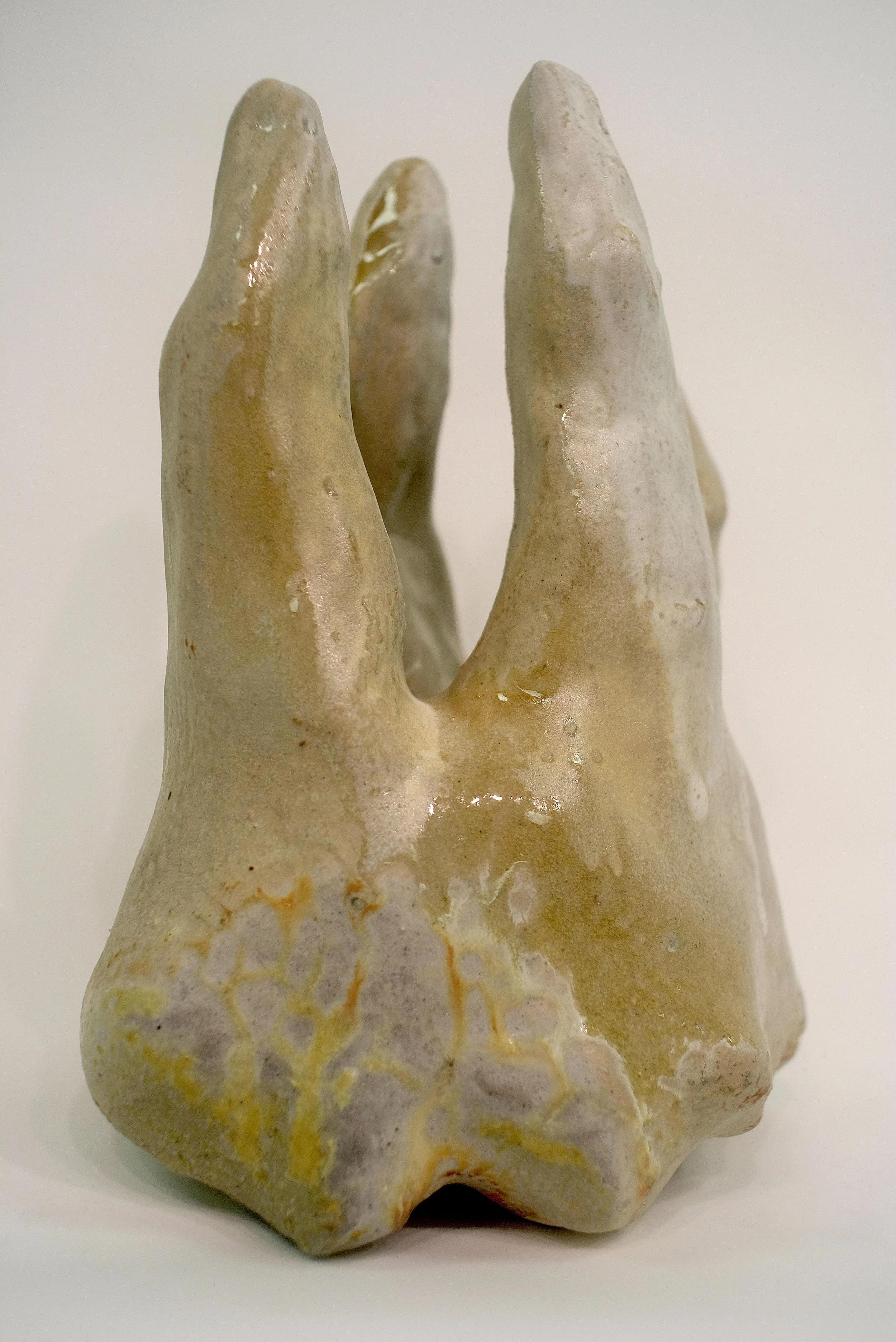 tooth_front.jpg
