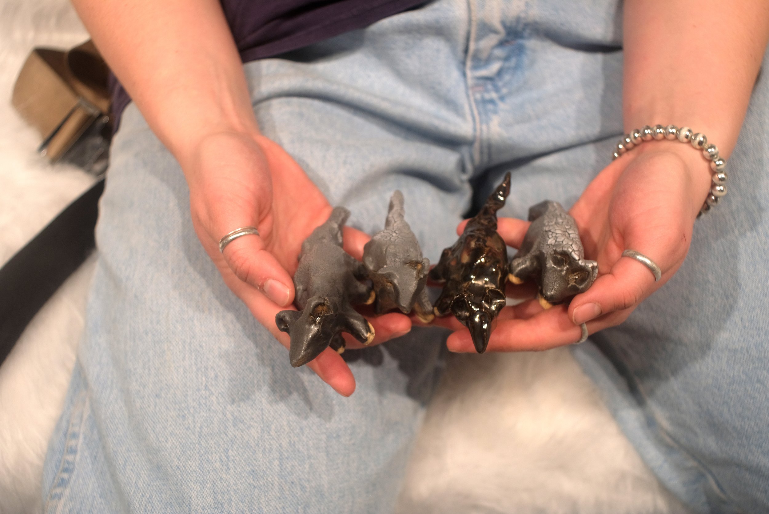 ratsinhand.jpg