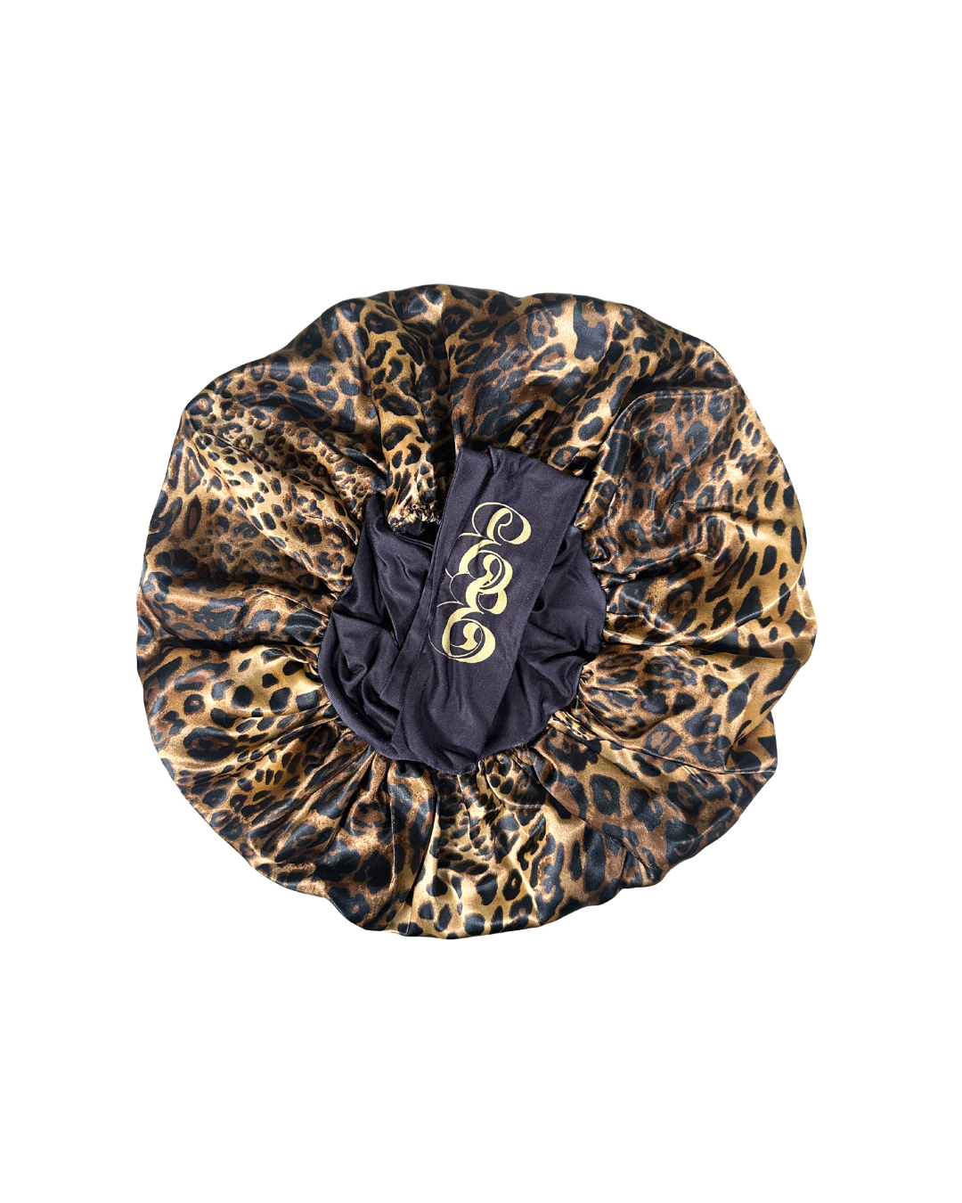 cheetah.png
