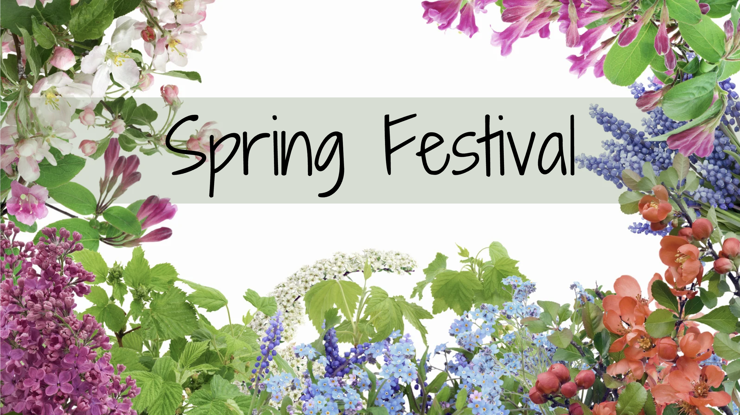       
  
    A Beautiful Day in Old Town:  Celebrating the Main Street Spring Festival  There’s something special about springtime in Old Town Eureka — the streets come alive, neighbors reconnect, music fills the air, and local businesses shine in t