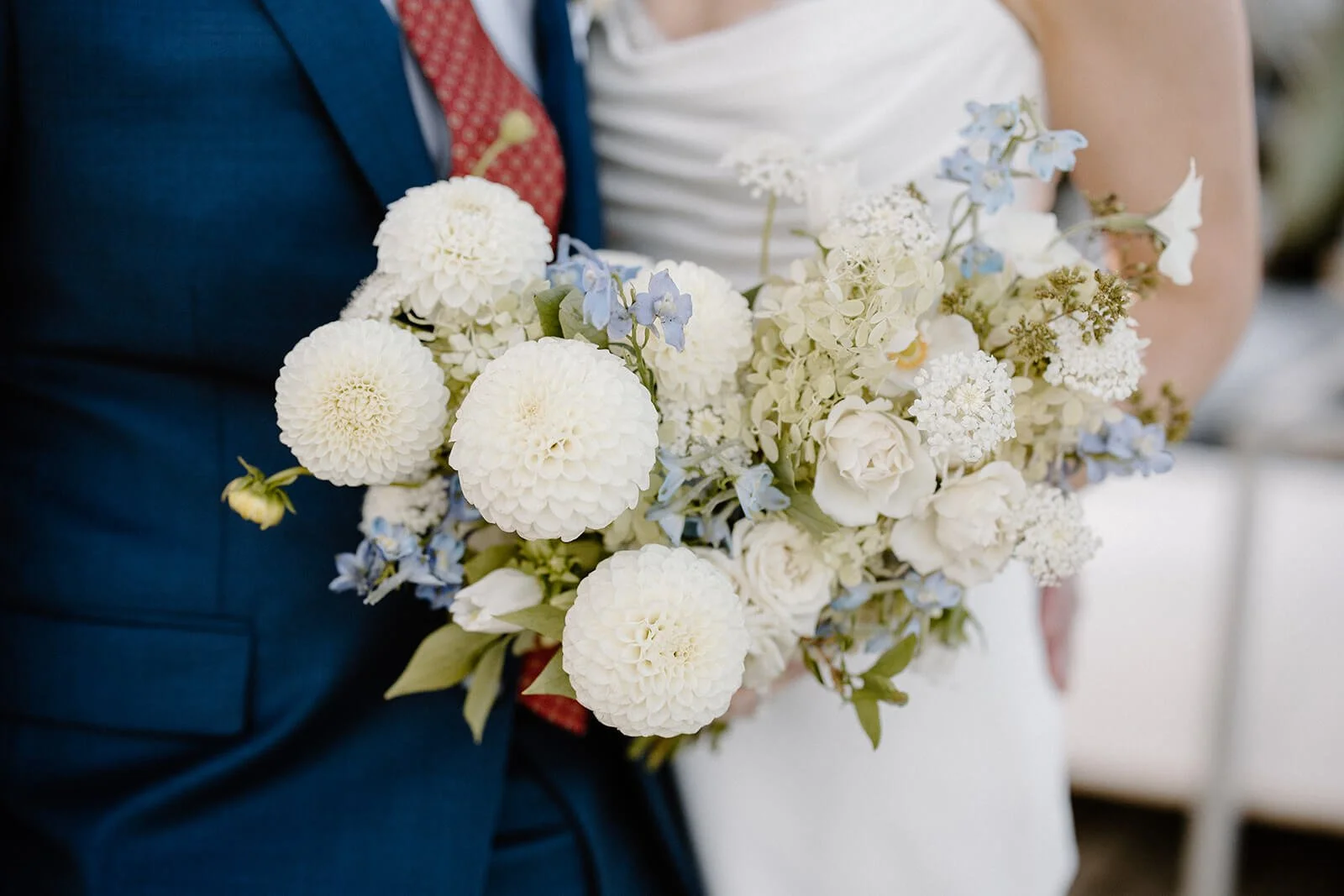 Coastal bridal bouquet with white dahlia pompons, blue delphinium, and hydrangea held alongside a navy suit, Camden Maine wedding by Milkweed Floral Co