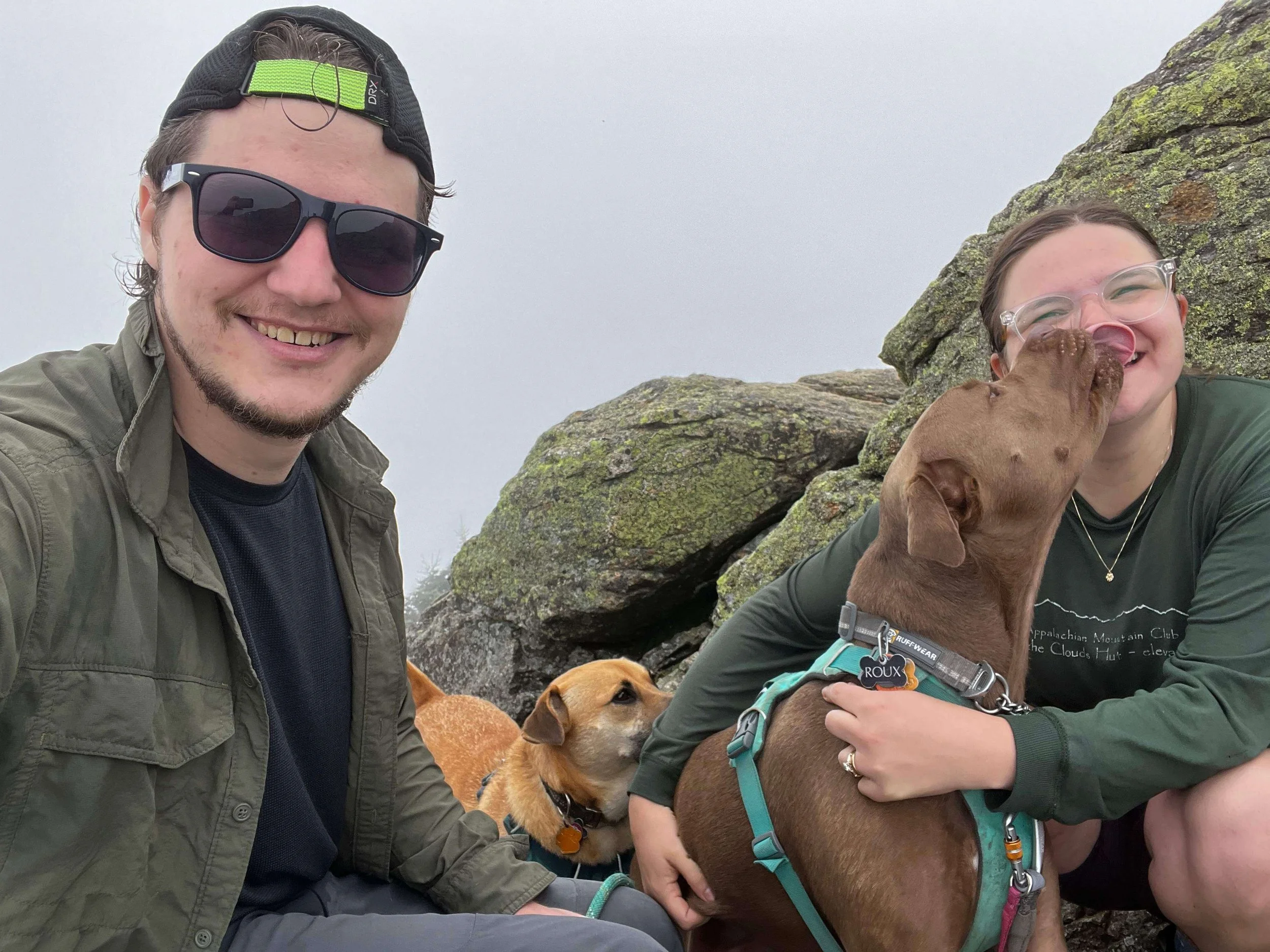 Milkweed Floral Co founder and her husband hiking with their two dogs on a rocky mountain summit in New England