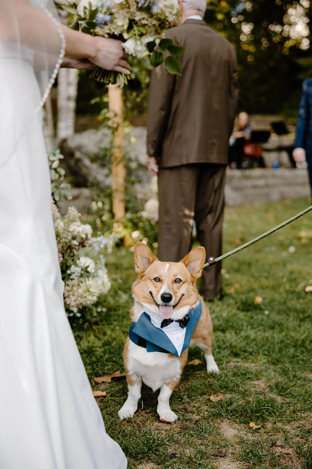 Corgi in a blue tuxedo bib at an outdoor coastal Maine wedding ceremony, with white and blue floral aisle arrangements by Milkweed Floral Co in the background
