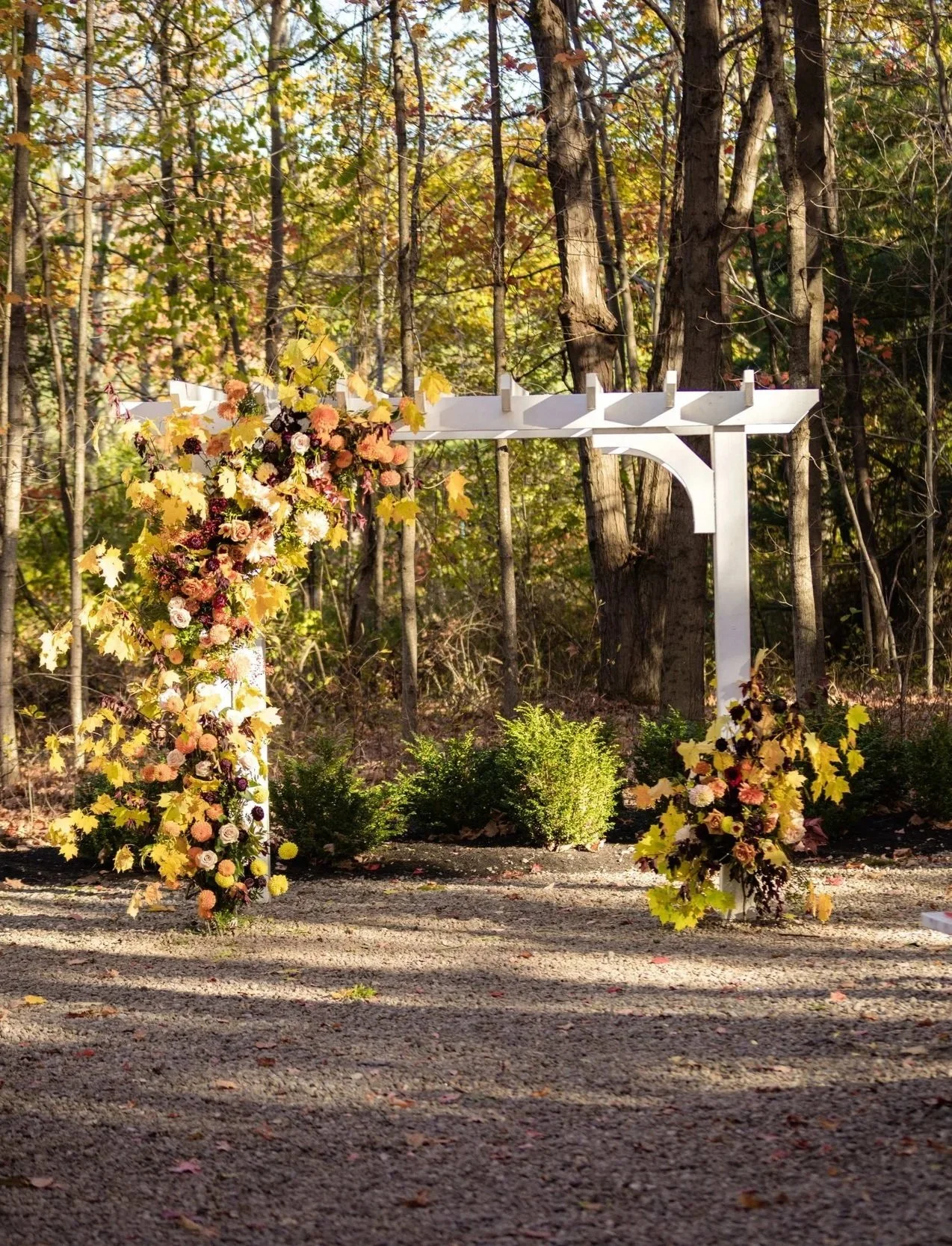 Lush arbor arrangement with blush, yellow, peachy dahlia pompons, and trailing greenery at The Barn at Walnut Hill, fall Maine wedding by Milkweed Floral Co