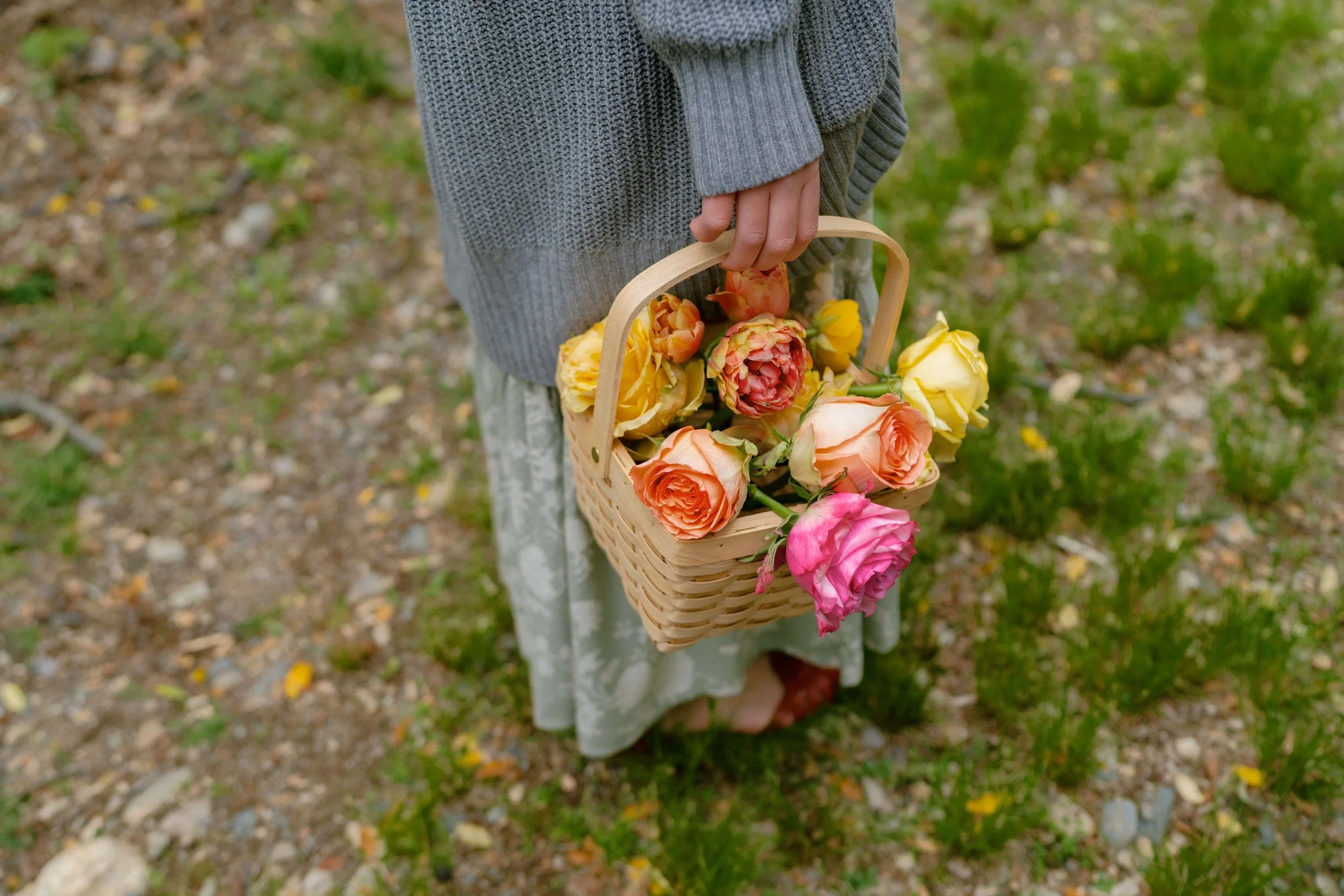 Flower girl holding a wicker basket filled with peach, yellow, and pink garden roses, New England wedding detail by Milkweed Floral Co