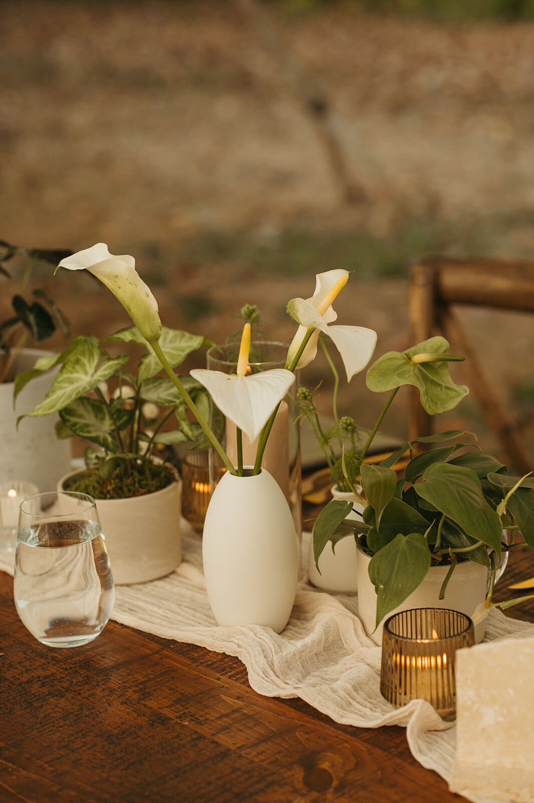 Modern minimalist tablescape with white calla lilies and anthurium in matte ceramic vases alongside potted tropical greenery on a linen runner, Monson Massachusetts backyard wedding by Milkweed Floral Co