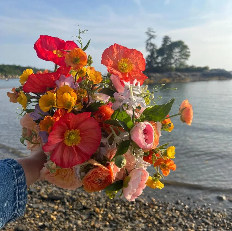 Wild garden bouquet of red and orange poppies, ranunculus, and snapdragons held on a rocky New England coastline, Milkweed Floral Co