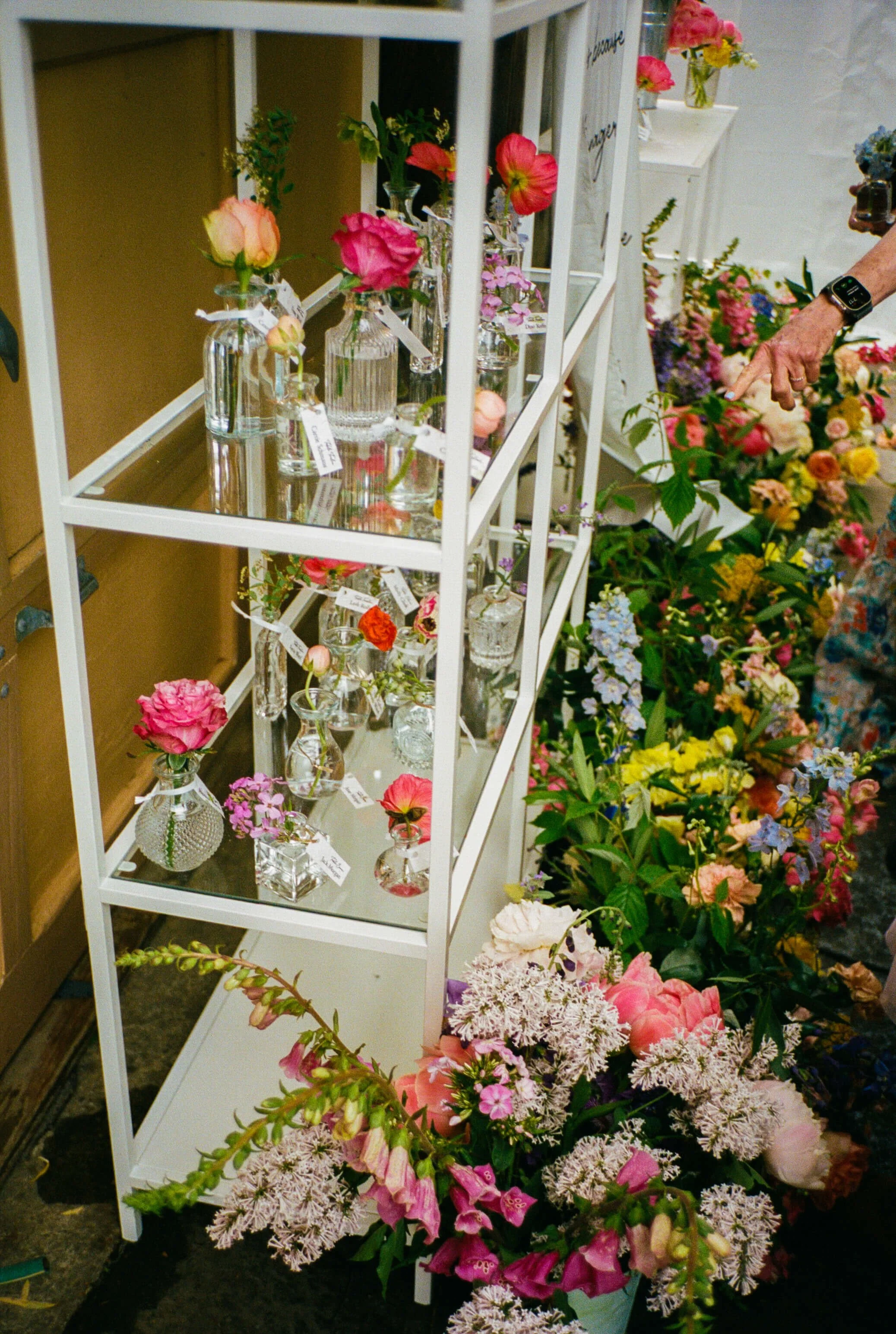 Wedding seating chart display with individual bud vases of roses, poppies, and ranunculus on a white tiered shelf, surrounded by lush peonies, foxglove, and delphinium, Milkweed Floral Co