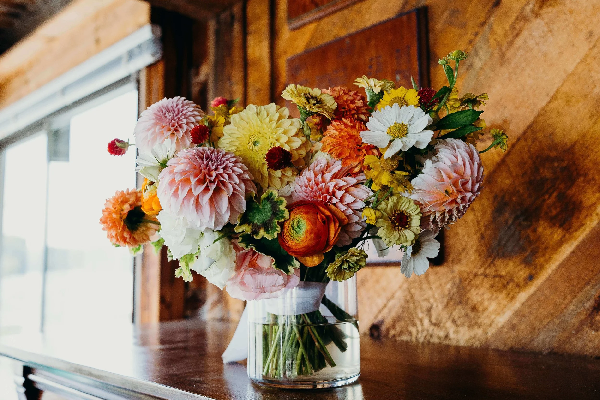 Lush bridal bouquet of pink and orange dahlias, ranunculus, white cosmos, and yellow zinnias, in a glass vase against a rustic wood backdrop, Maine wedding florals by Milkweed Floral Co