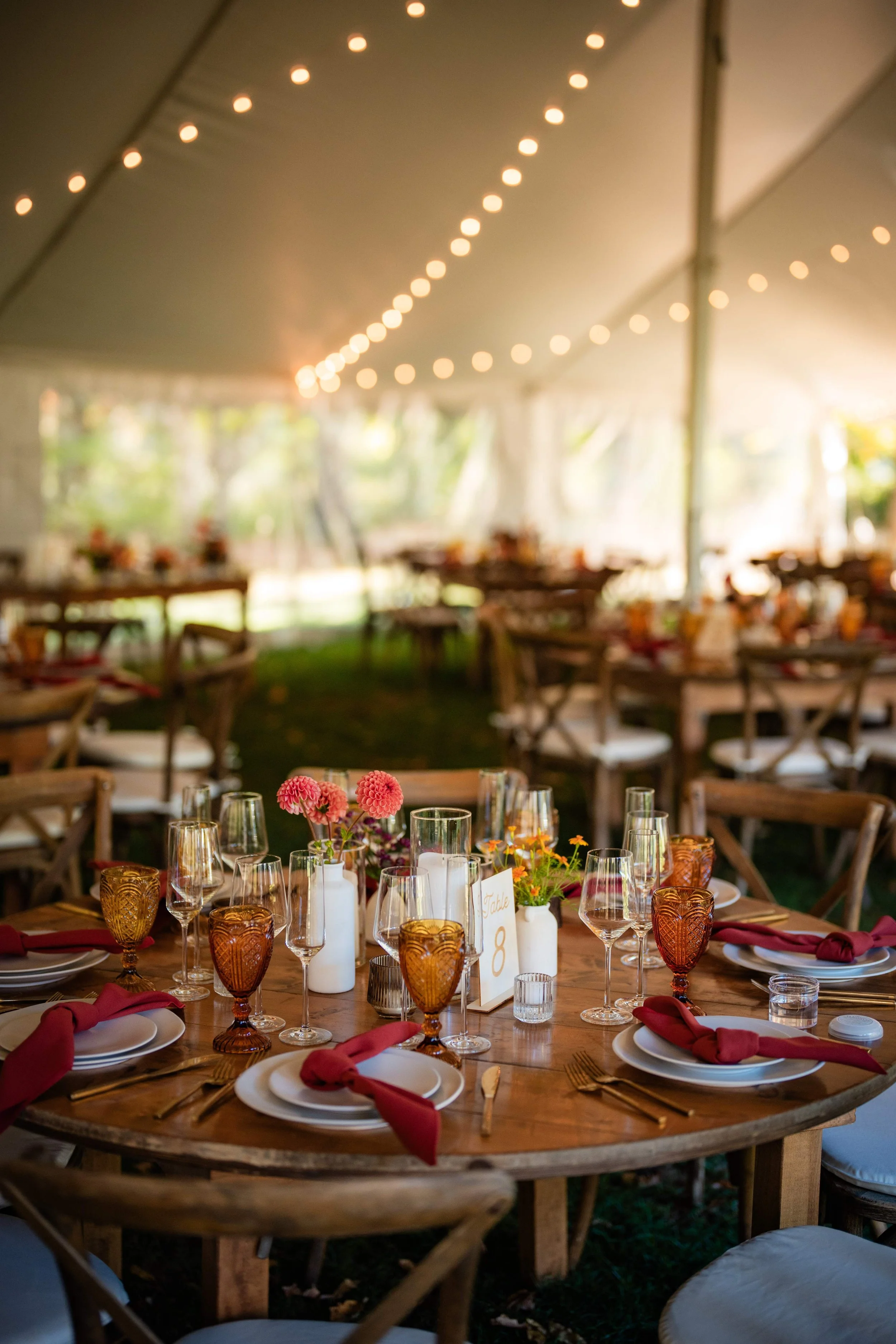 Colorful autumn reception table at The Barn at Walnut Hill with a pink dahlia and orange blossom centerpiece, berry colored napkins, amber glassware, under a tent with string lights, Milkweed Floral Co