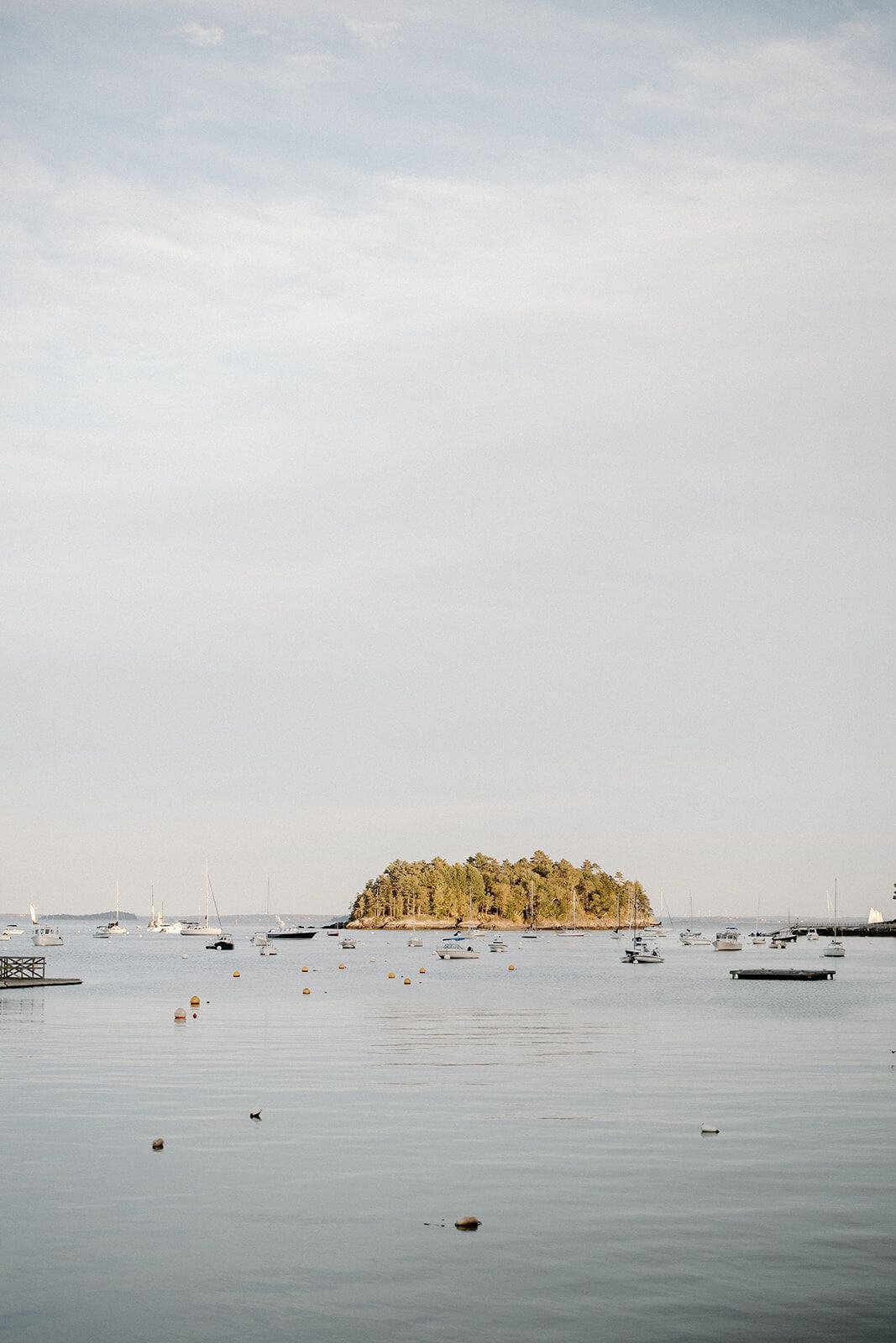Calm Camden harbor with sailboats and a wooded island, coastal Maine wedding venue backdrop, Milkweed Floral Co