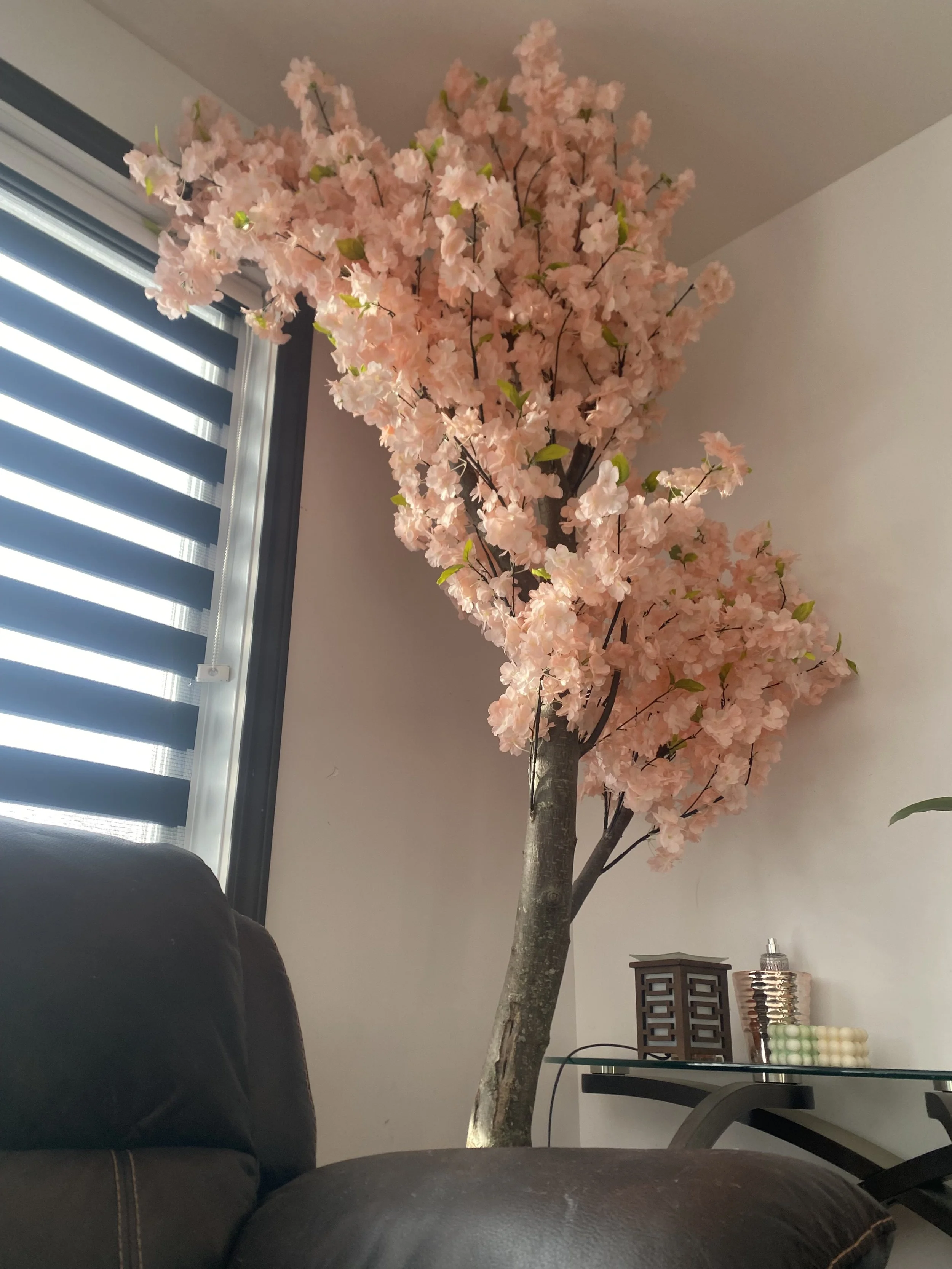 IMG_2607.jpeg