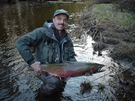 Steelhead.jpg