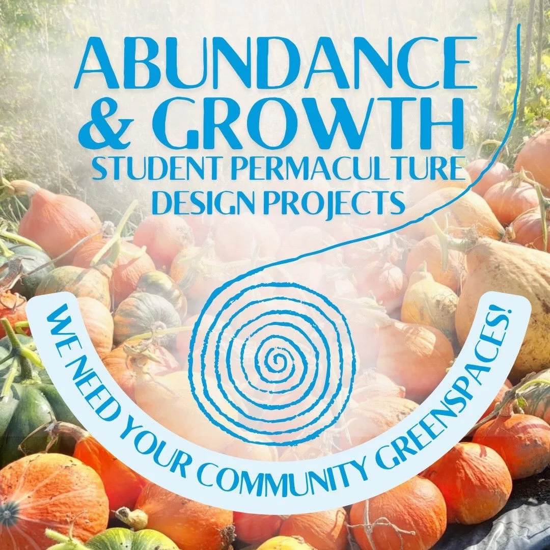 🥒🌱 ABUNDANCE &amp; GROWTH DESIGN PROJECT 🌱🎃
Application Deadline: 1st April &mdash; Apply now!

We&rsquo;re thrilled to offer a FREE opportunity for land-based projects looking to enhance the productivity and vitality of their land and communitie