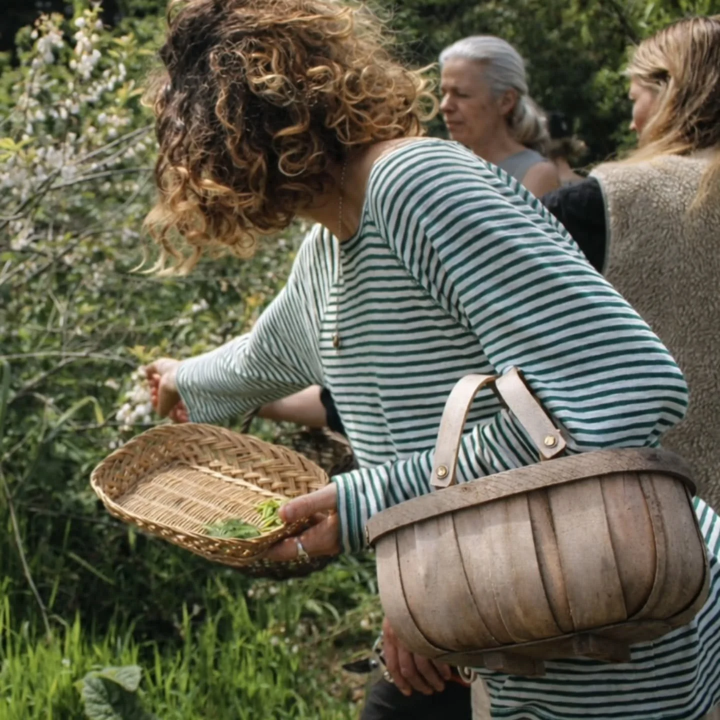 So much of what happens at Shift begins in places like this

Hands in hedgerows.

Connecting with nature.

Learning, harvesting, feasting together.

Knowledge passes between people, seasons, and landscapes.

For over 16 years, these moments have been