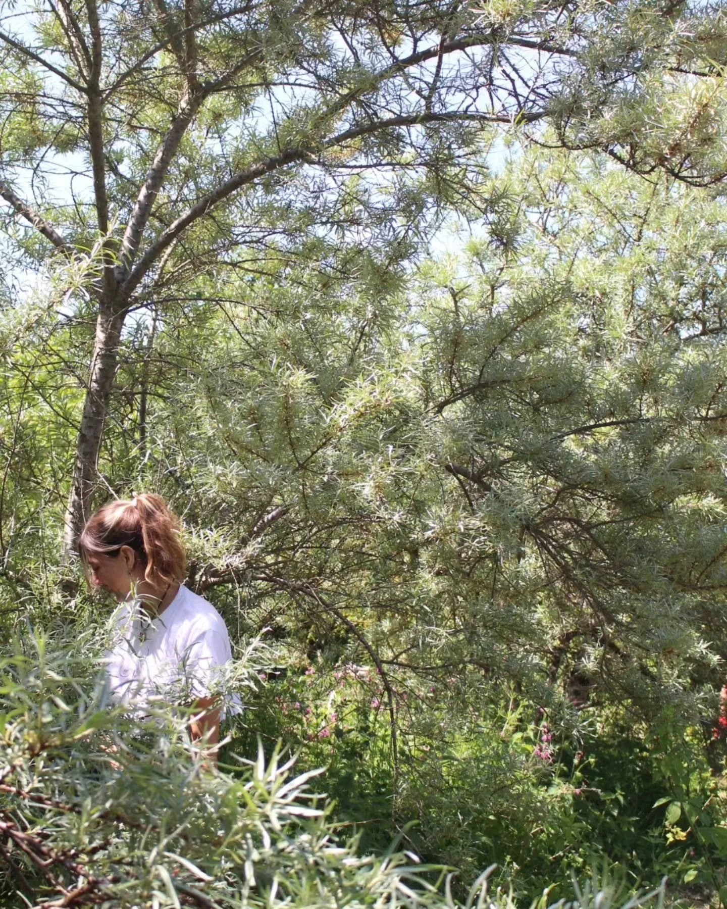 &ldquo;The Summer Day&rdquo; by Mary Oliver

&ldquo; Who made the world?
Who made the swan,
and the black bear?
Who made the grasshopper?
This grasshopper, I mean &mdash;
the one who has flung herself out of the grass,
the one who is eating sugar out