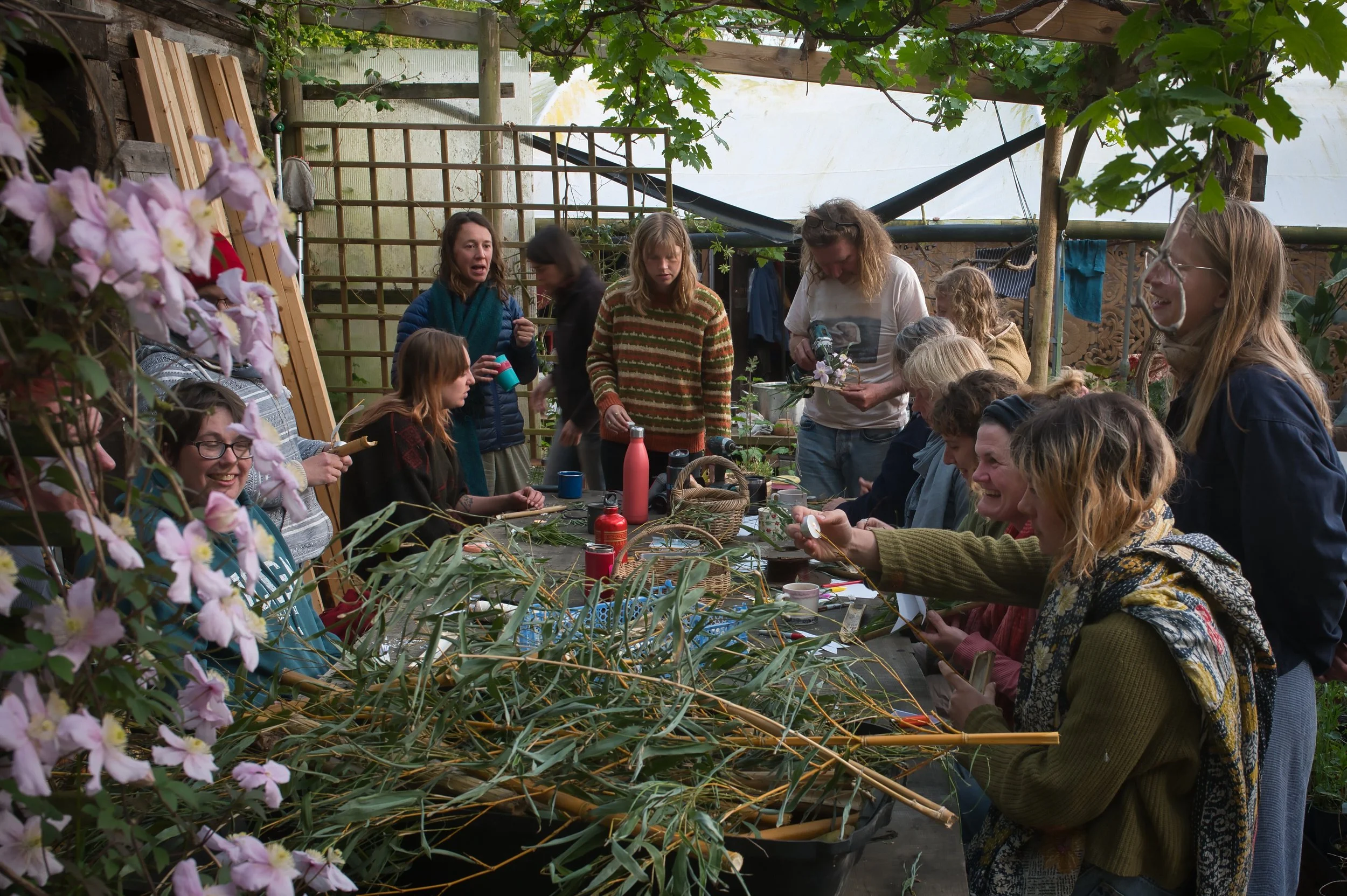 Copy of DSC_8198.jpg