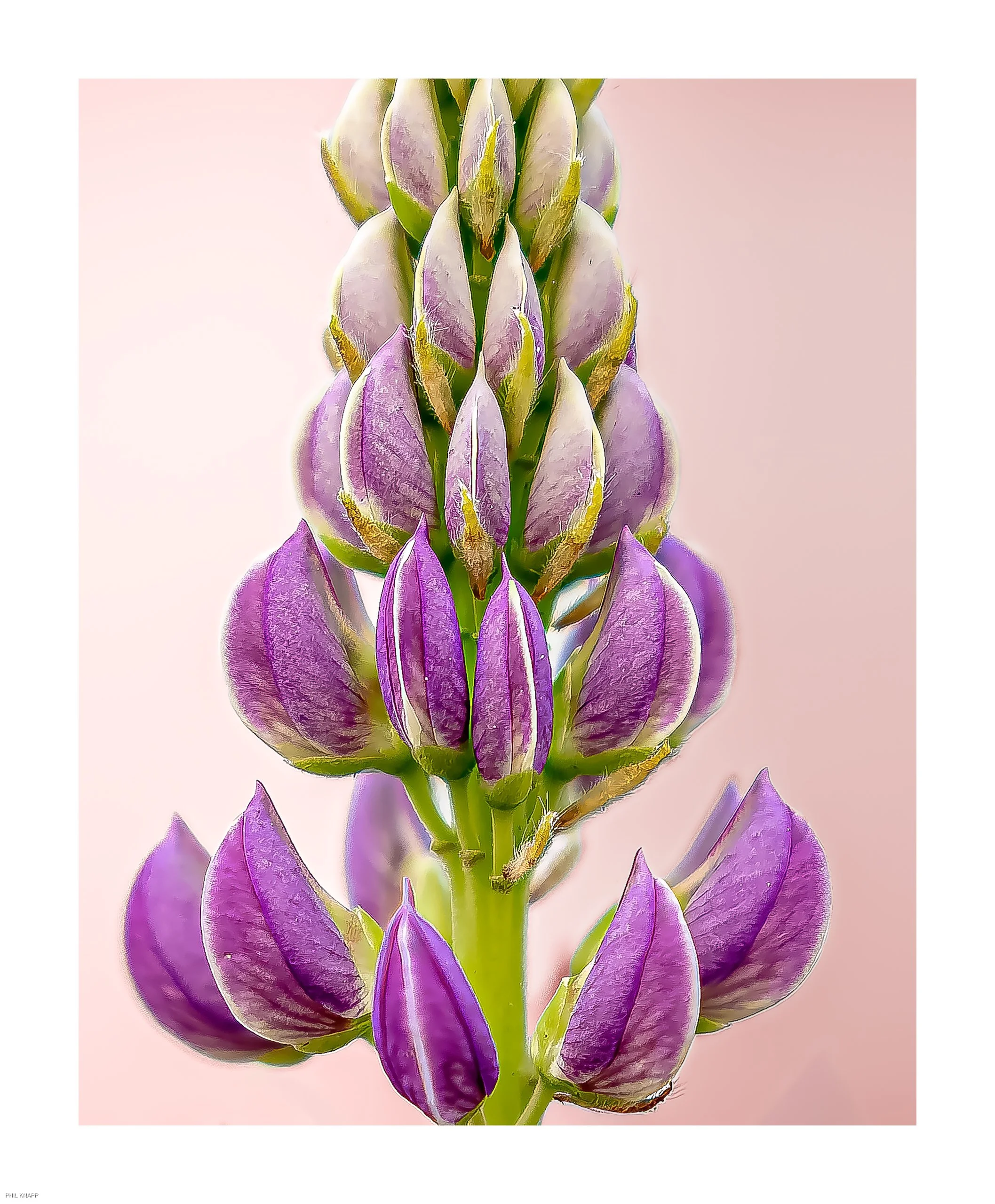 0042