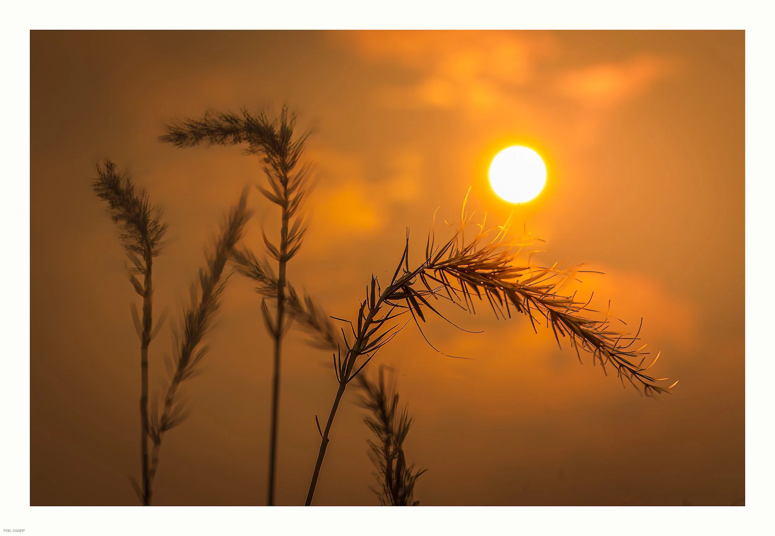 0092