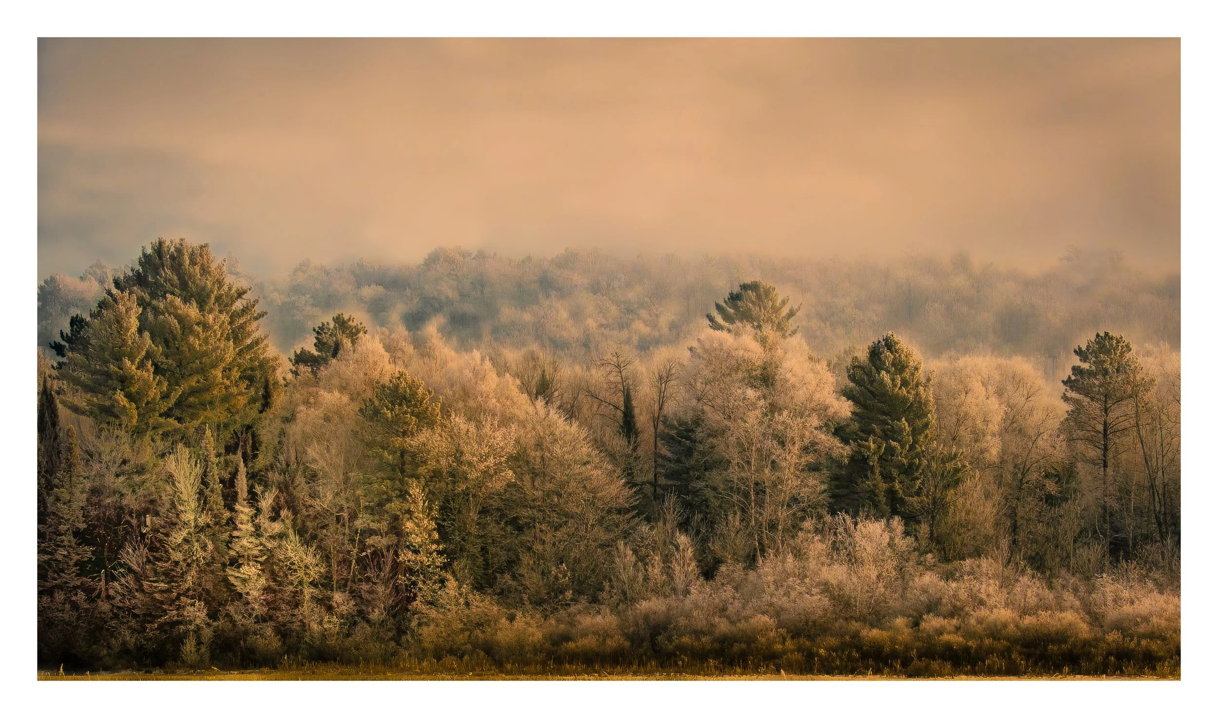 90a258b55cbf0fcc5a93a292138596da-Edit Topaz Gigapixel 2x scale.jpg