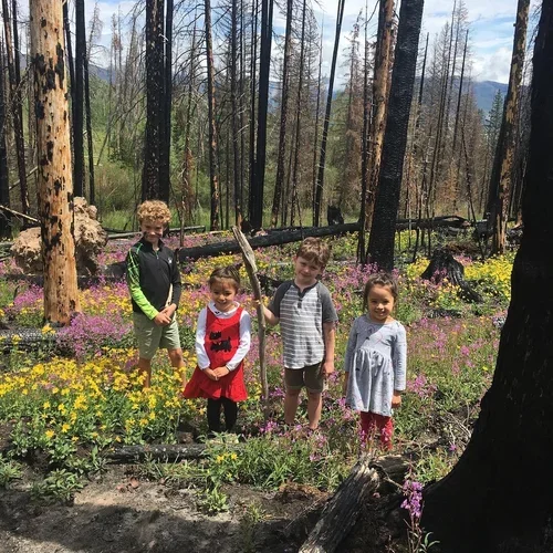 Regeneration in a Changing World: How the breakdown of old systems can lead to better lives.