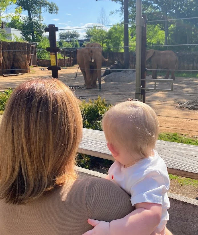 Dear Oliver (and Hudson):&nbsp; The Matriarch