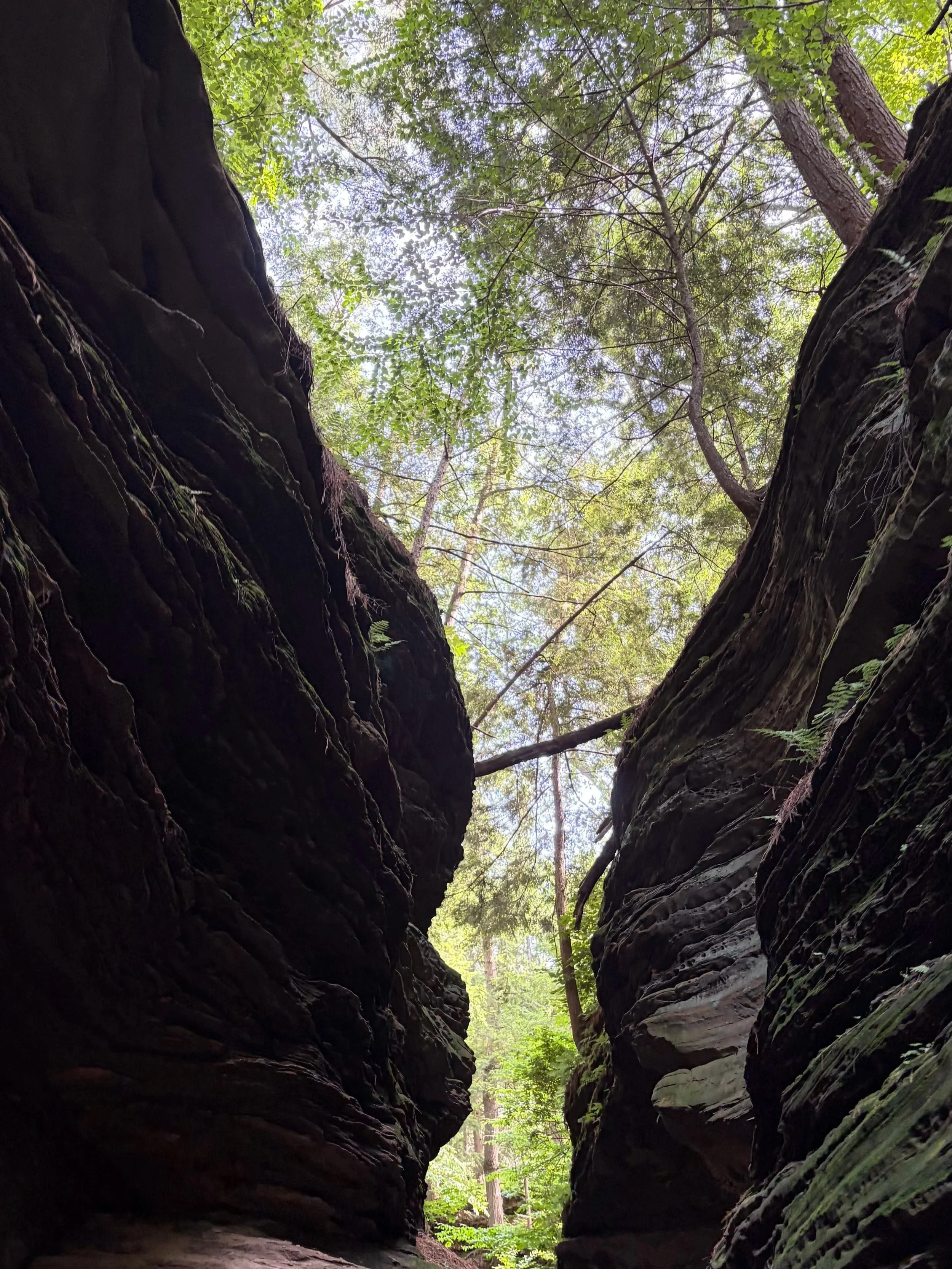 Looking up from inside a rocky canyon with lush green trees and sky visible above.