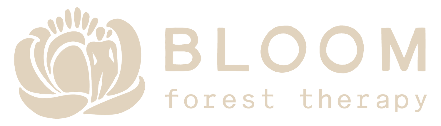 BLOOM Forest Therapy