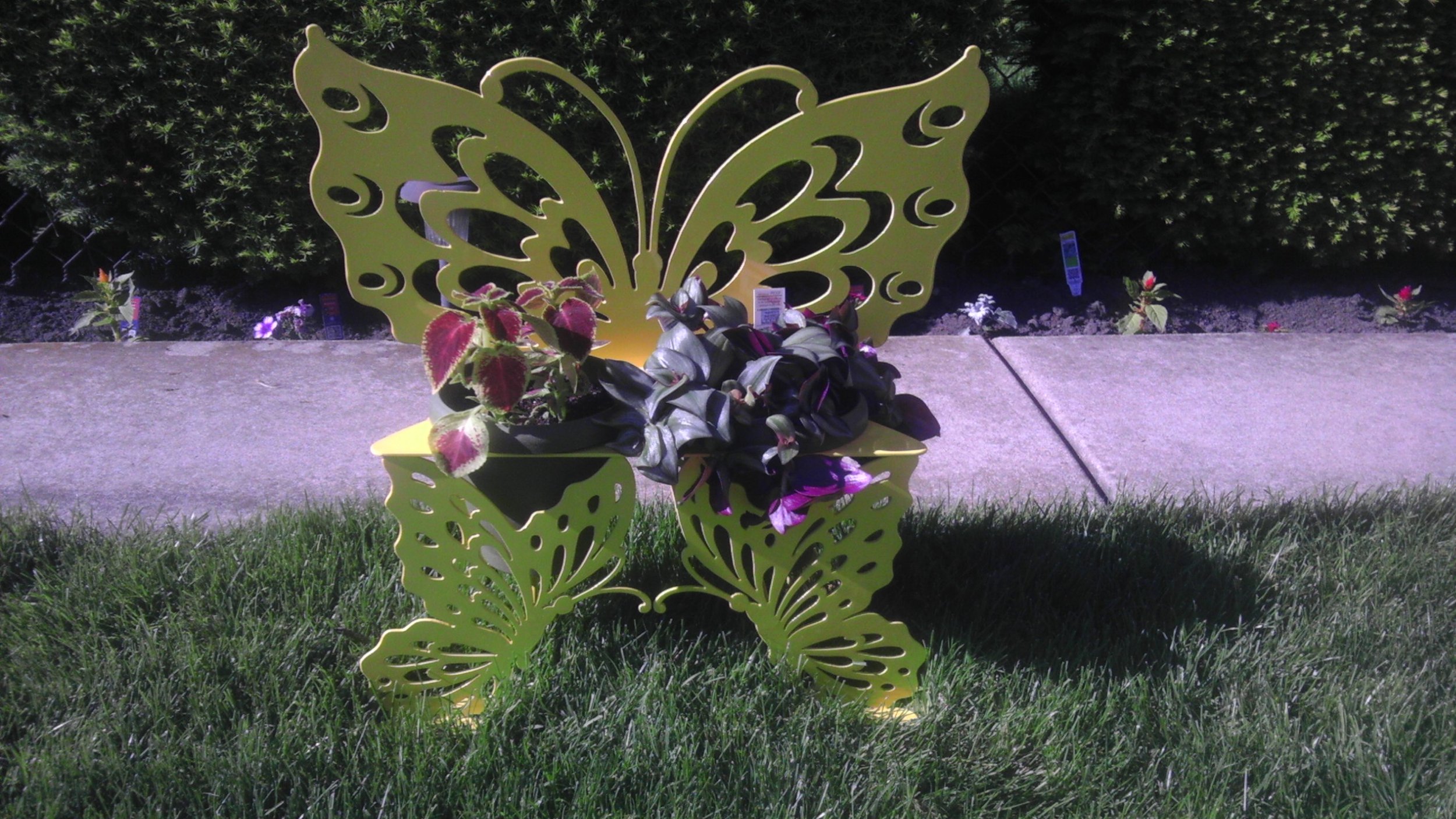 A yellow butterfly-shaped metal plant holder with purple and green plants. It is on a grass lawn with a concrete sidewalk and green bushes in the background.