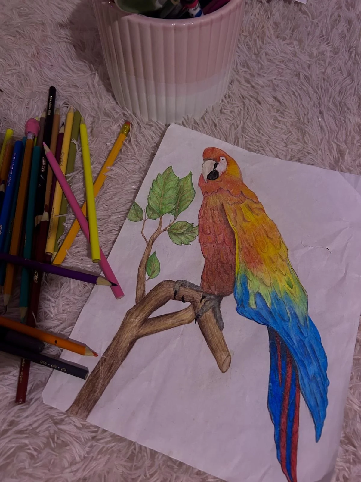 IMG_1527.jpeg