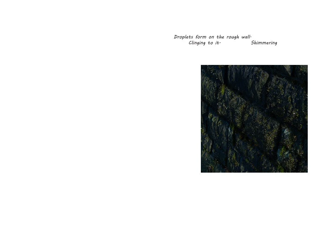 Screenshot 2026-04-23 213012.jpg