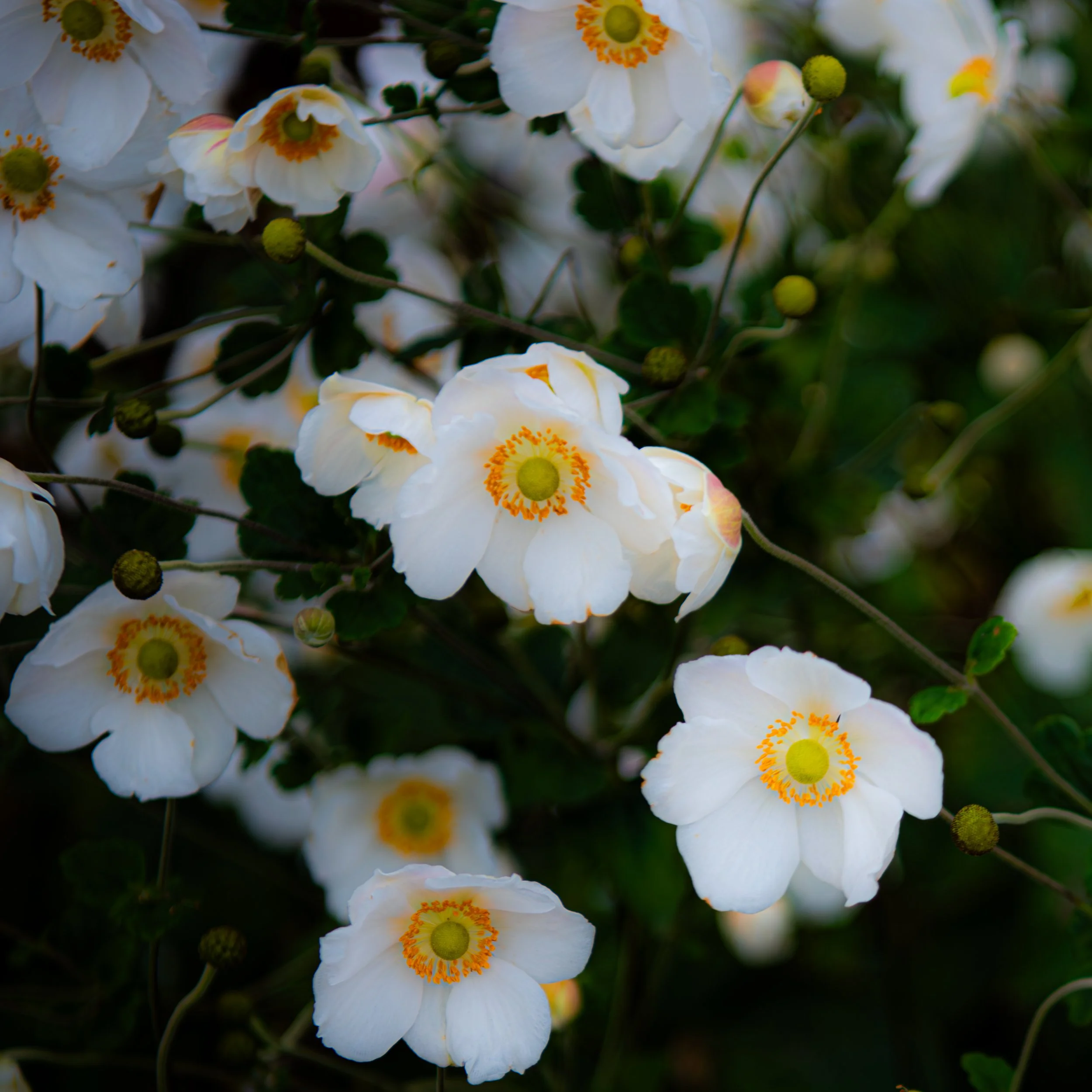 The Places That Helped Me Breathe Again.