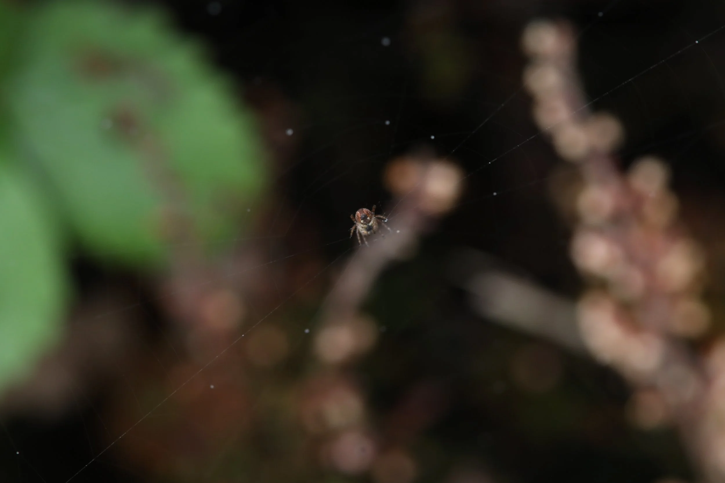 5 Mistakes Every Photographer Makes