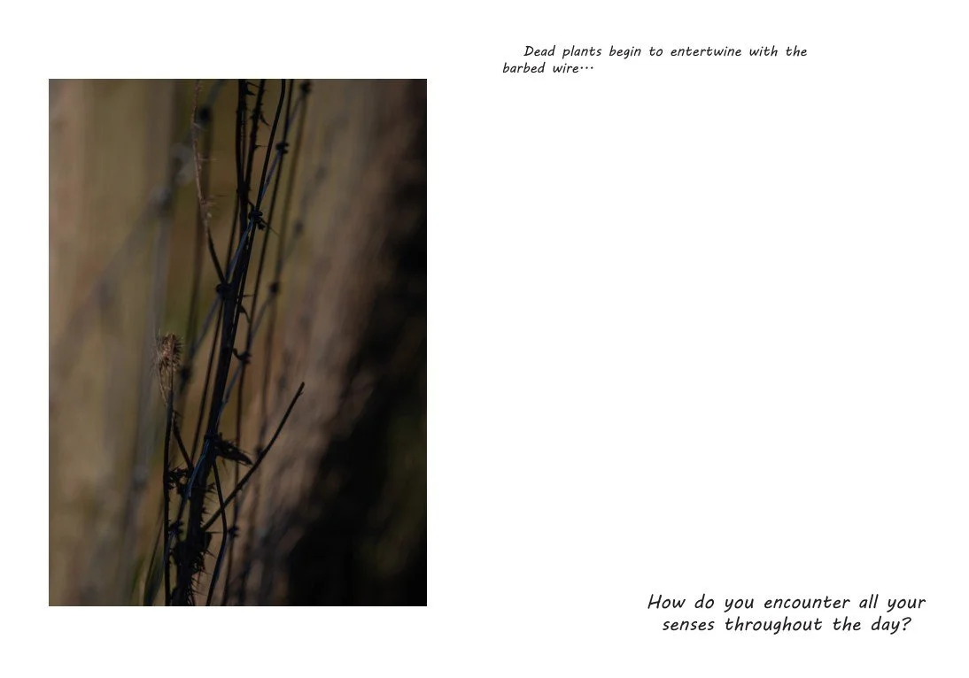 Screenshot 2026-04-23 213035.jpg