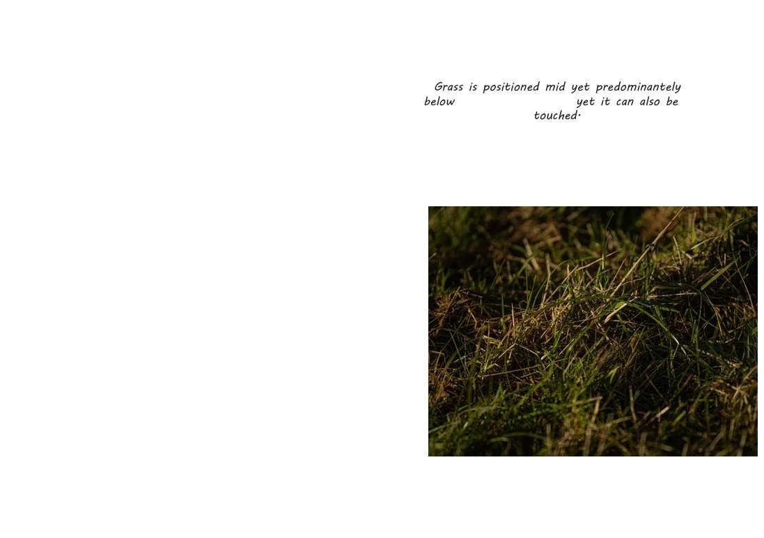 Screenshot 2026-04-23 212859.jpg