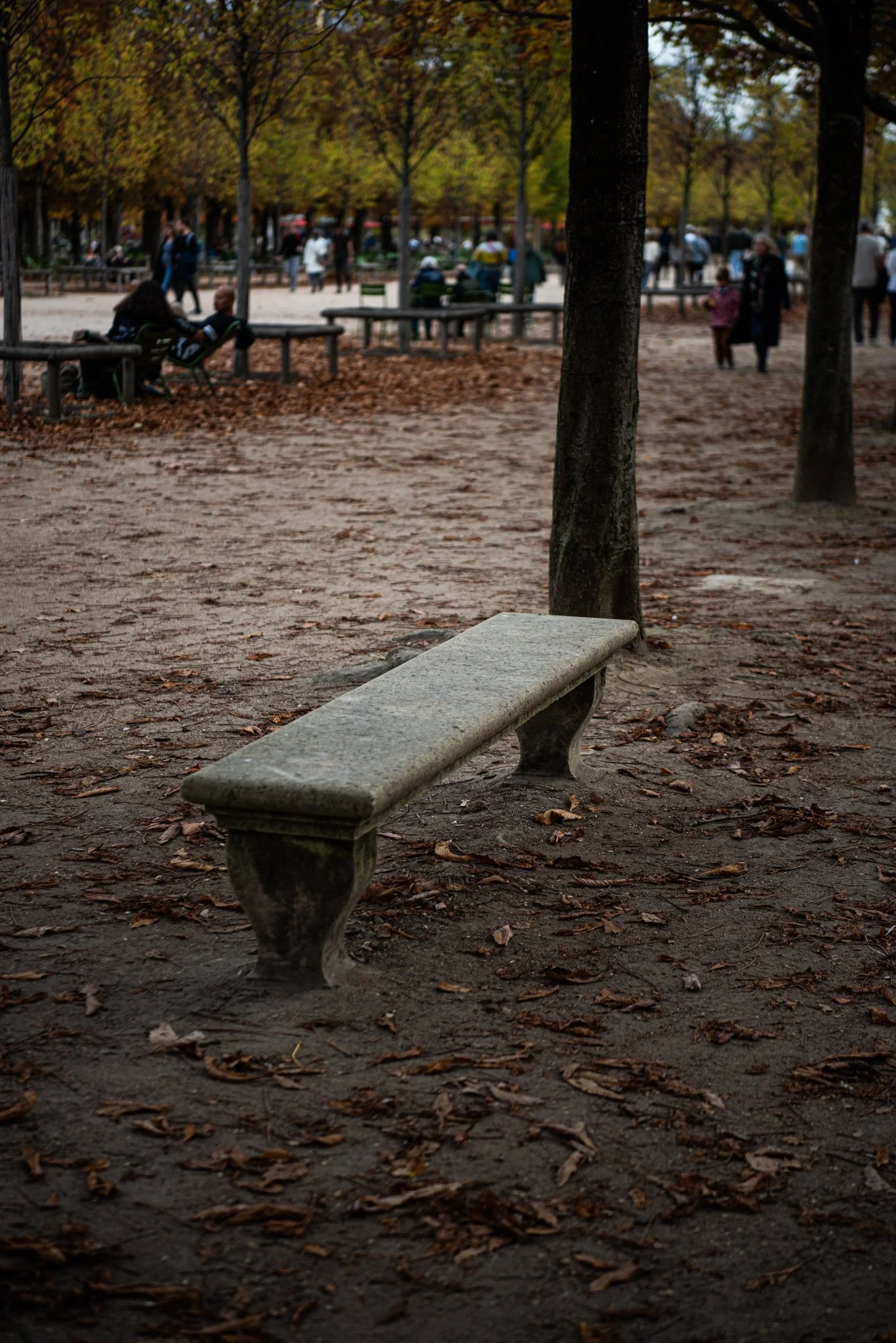 Paris Edit JPG-89.jpg