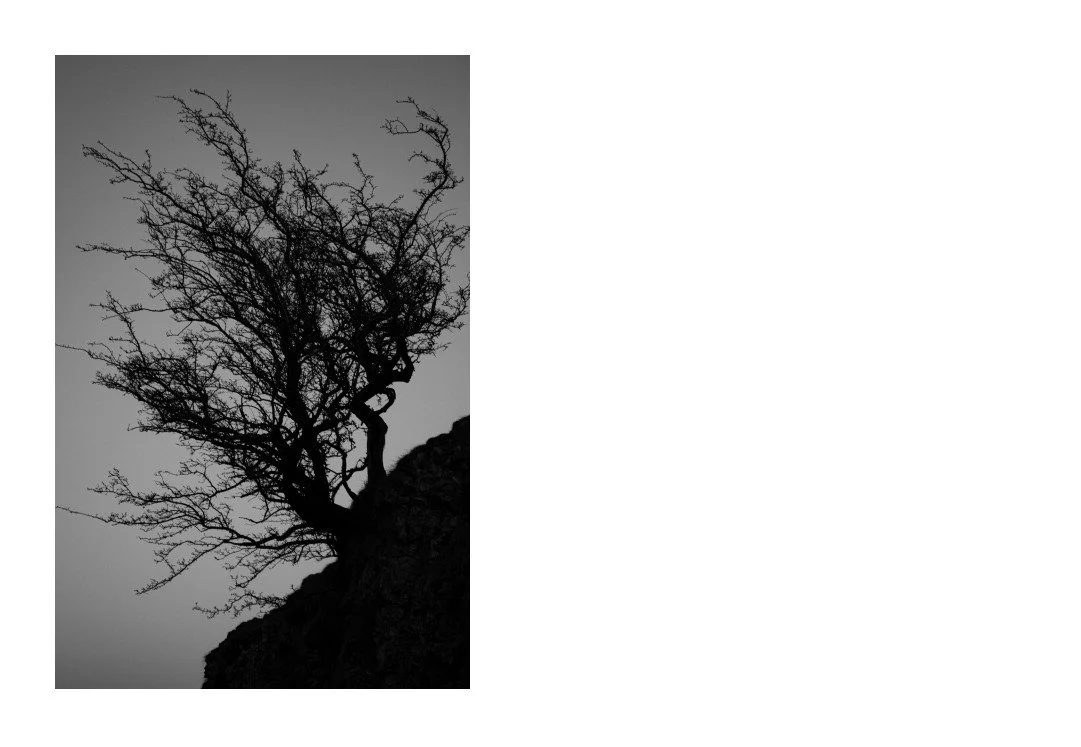 Screenshot 2026-04-23 203616.jpg